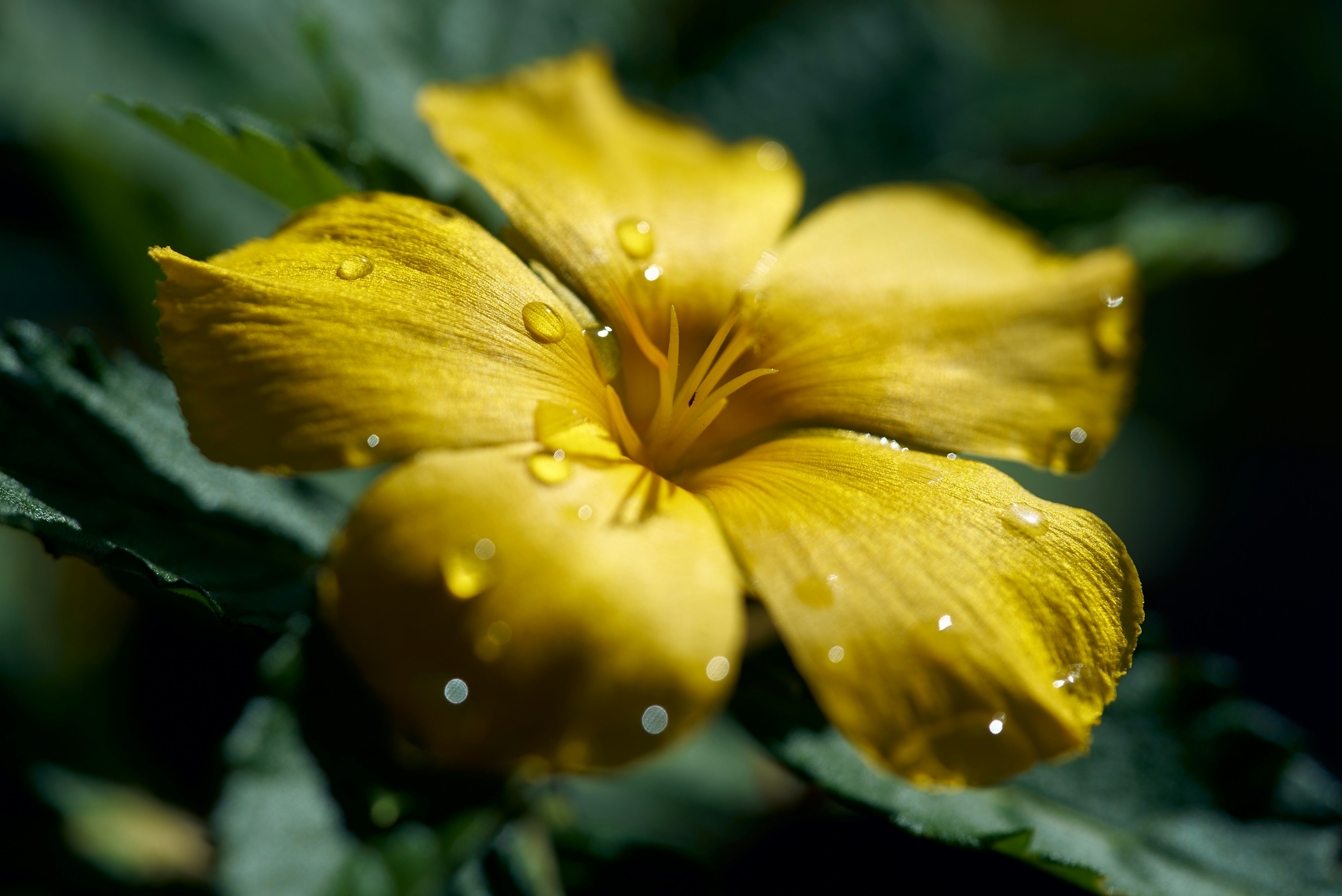 Photo by norajanelong