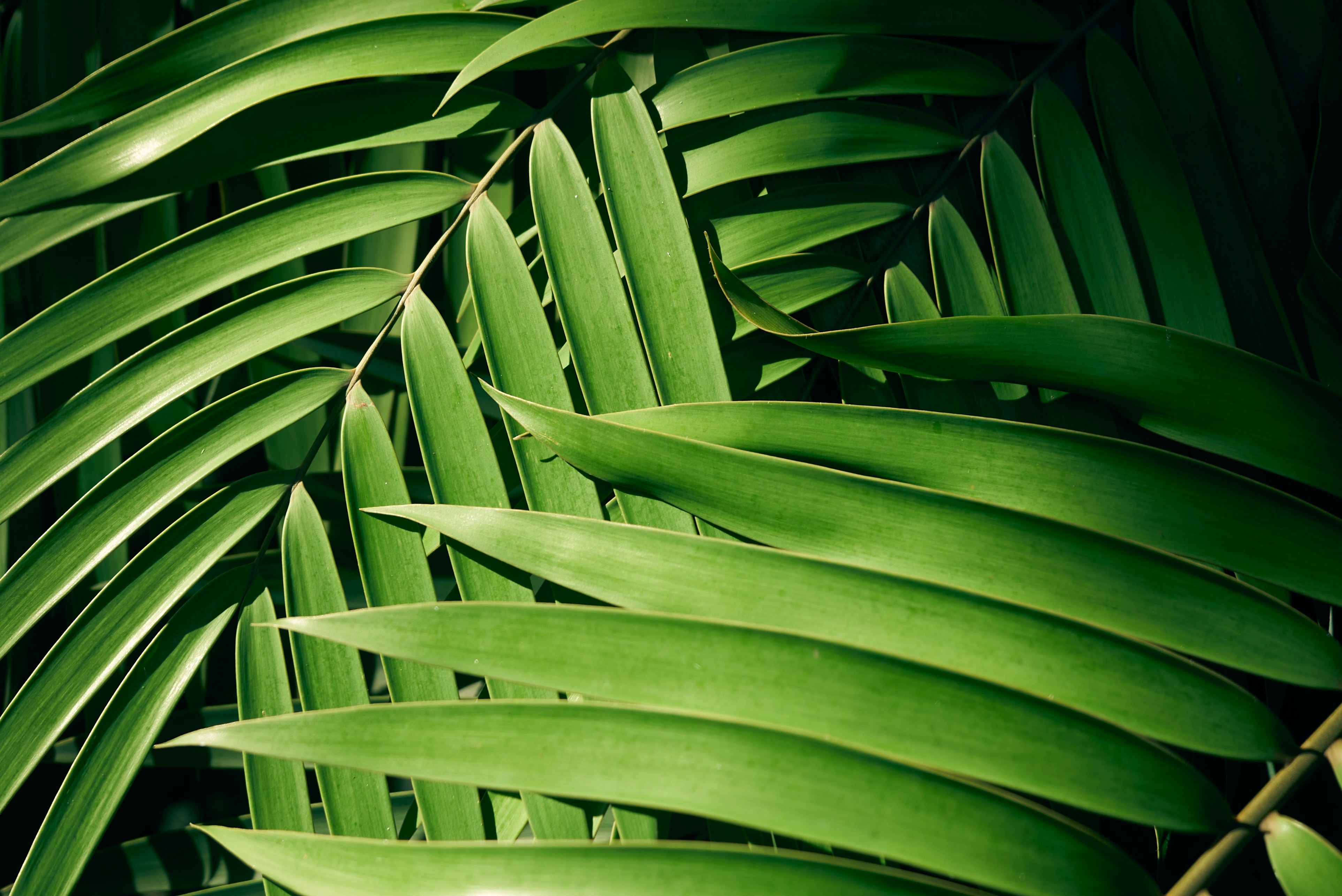 Photo by norajanelong