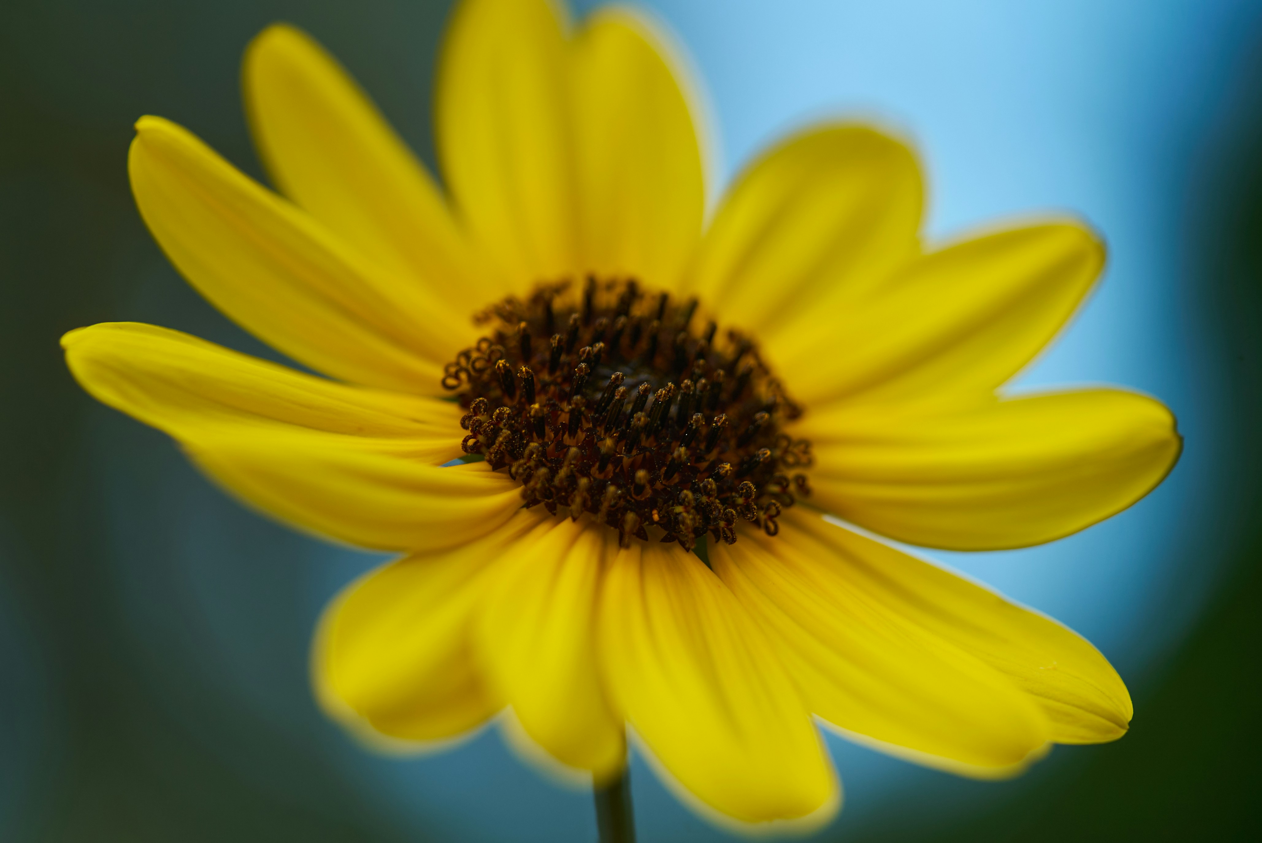 Photo by norajanelong