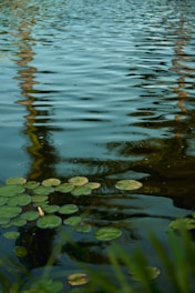 A boat floating on top of a body of water