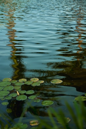 A boat floating on top of a body of water