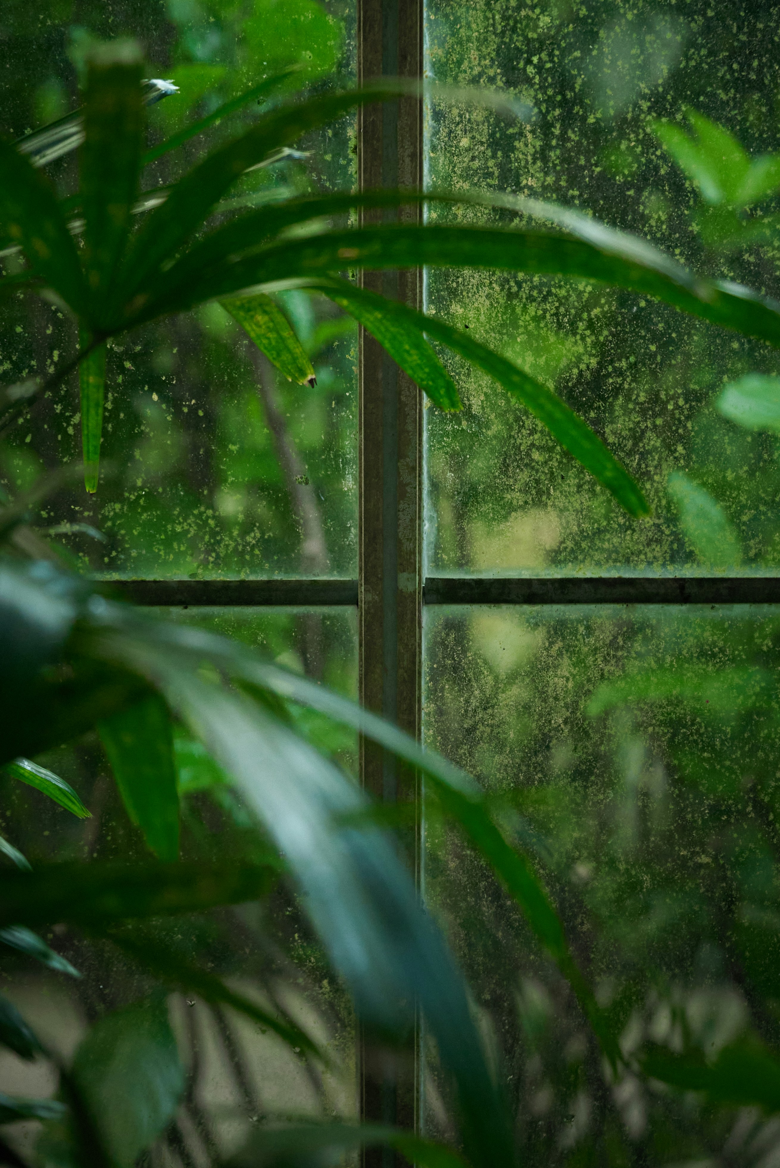 Photo by norajanelong