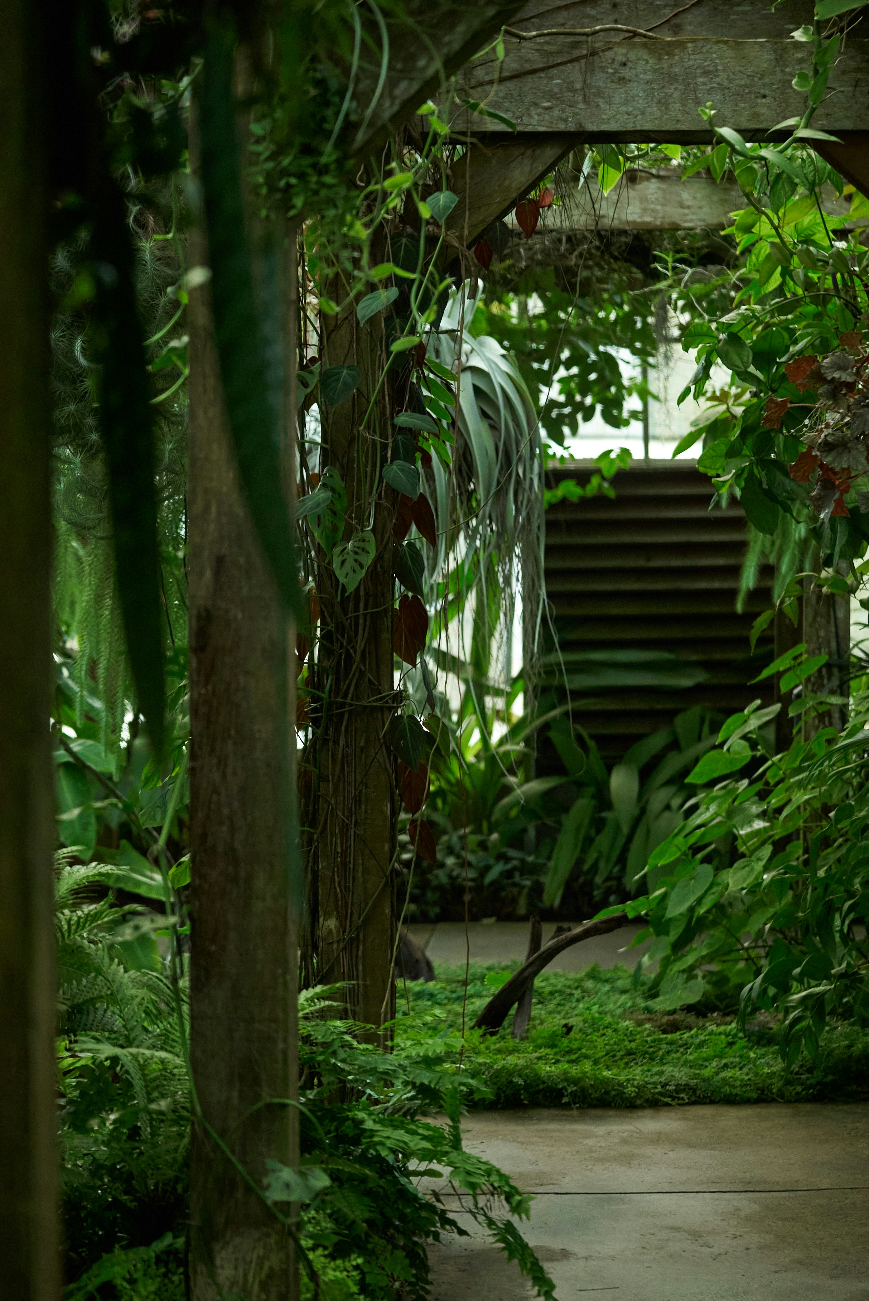 Photo by norajanelong