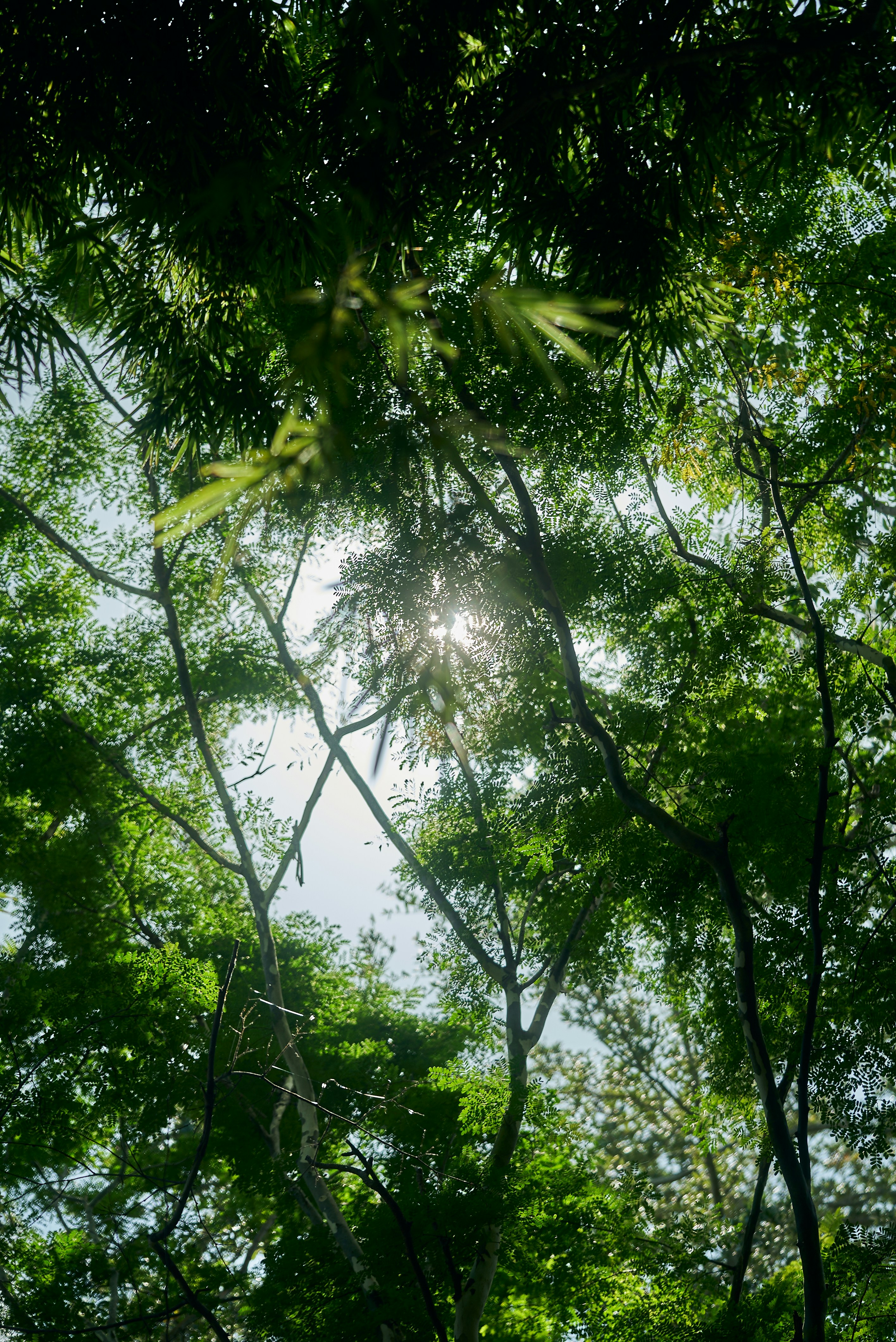 Photo by norajanelong