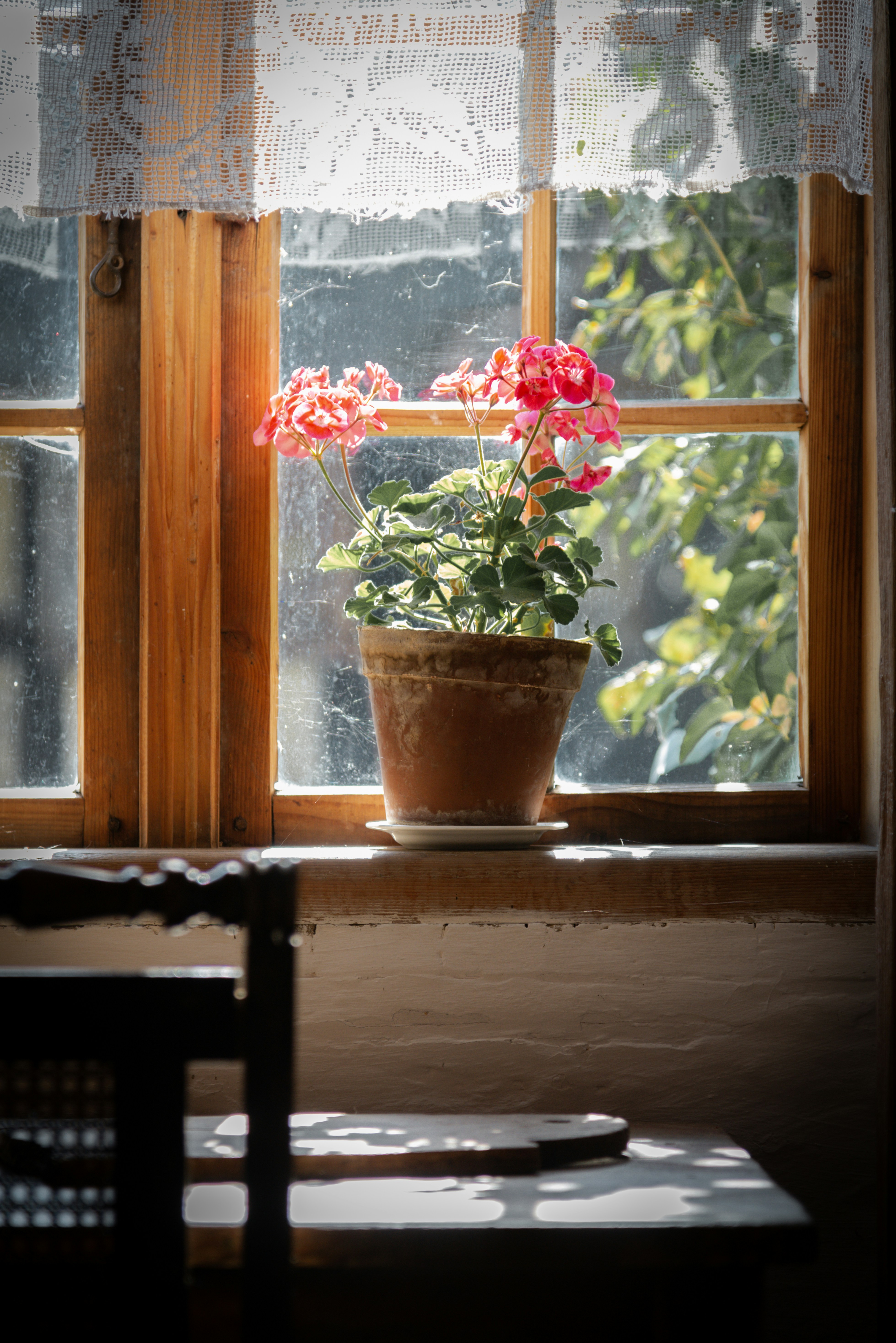 Photo by malwinanogaj