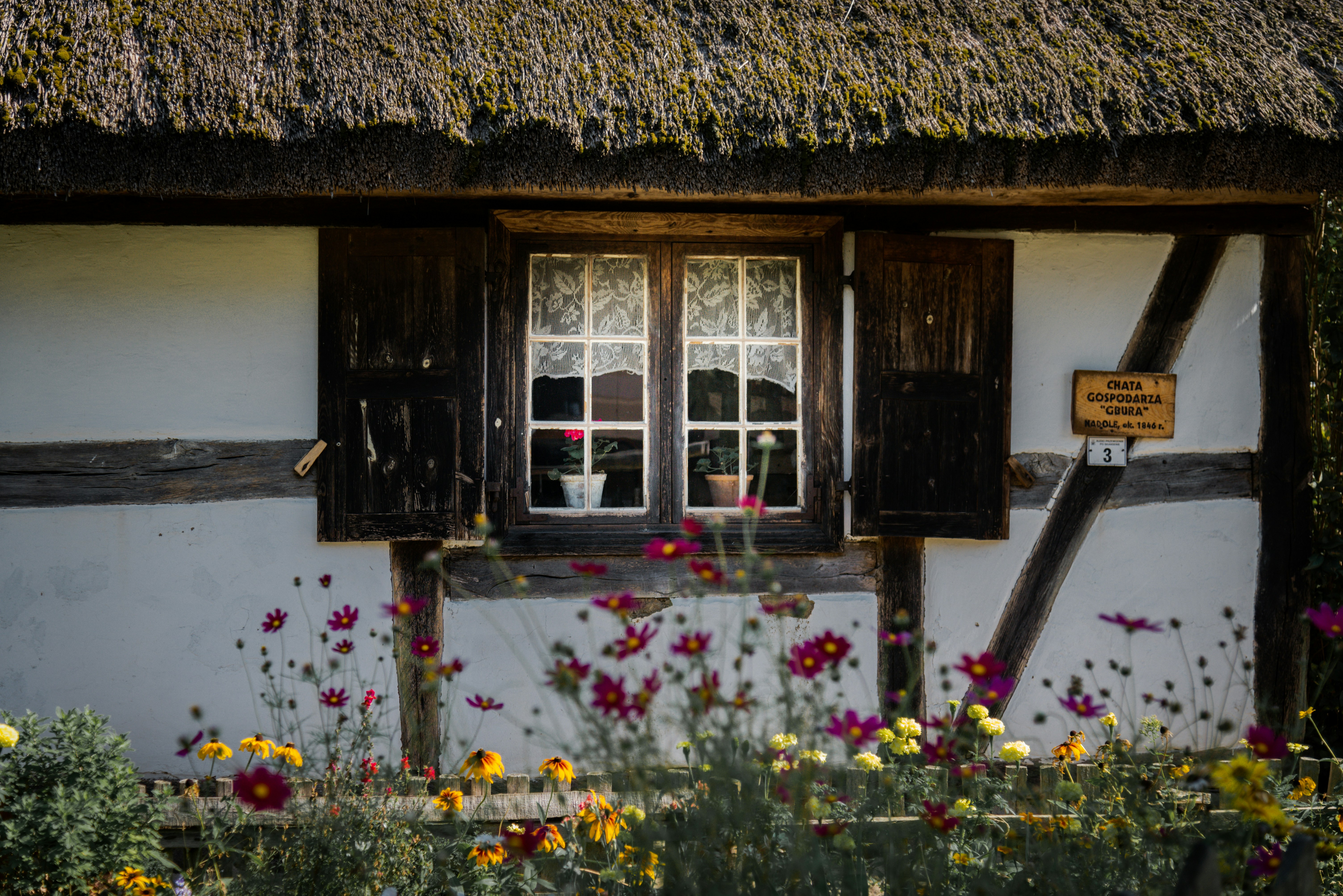 Photo by malwinanogaj