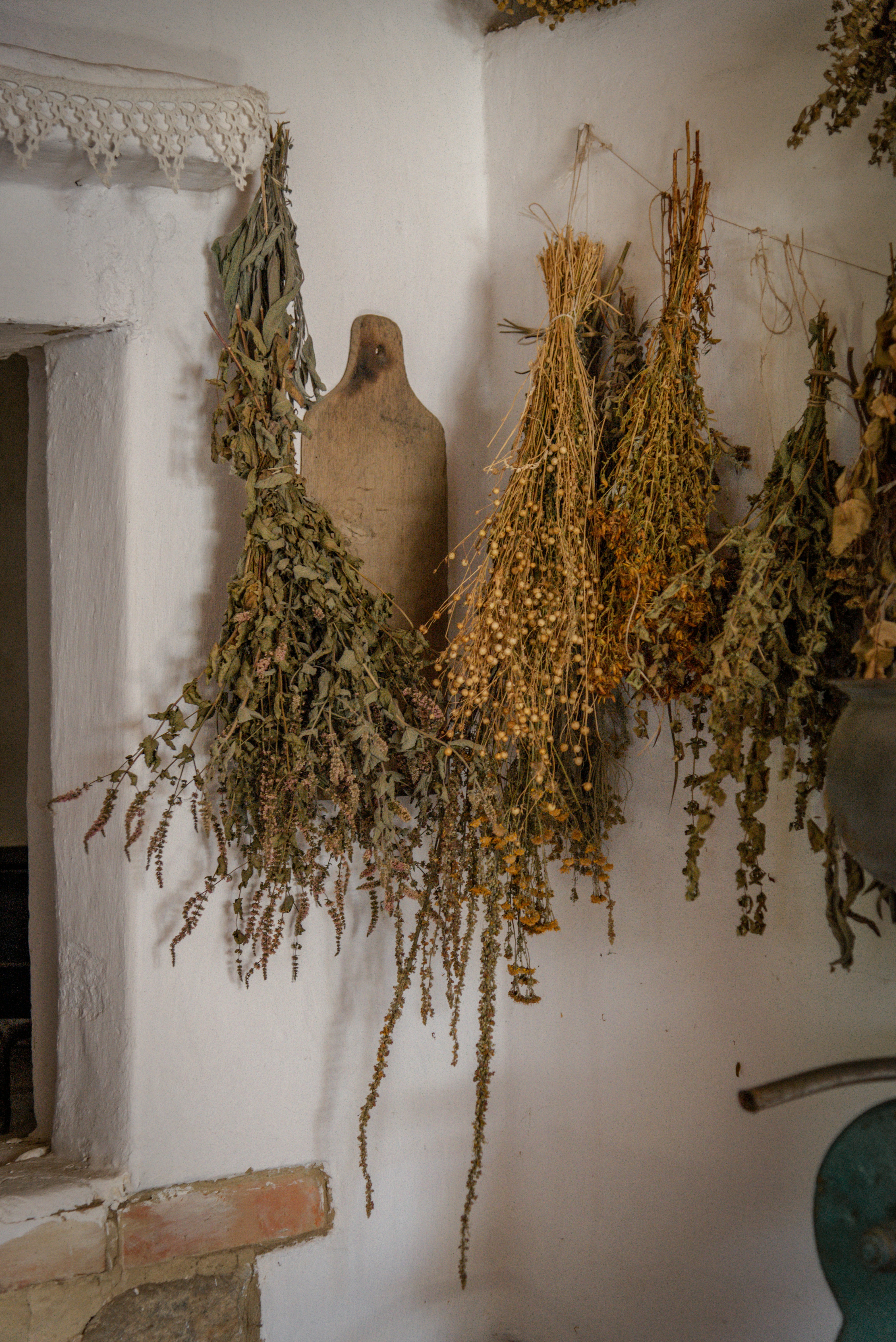 Dried herbs hanging from a wall next to a mirror