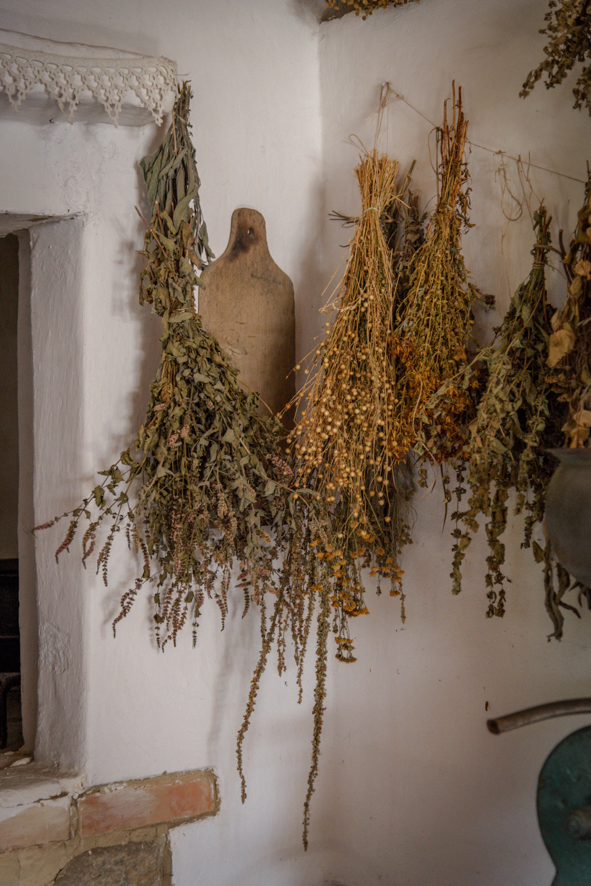 Getrocknete Kräuter für die Ernährungslehre nach TCM