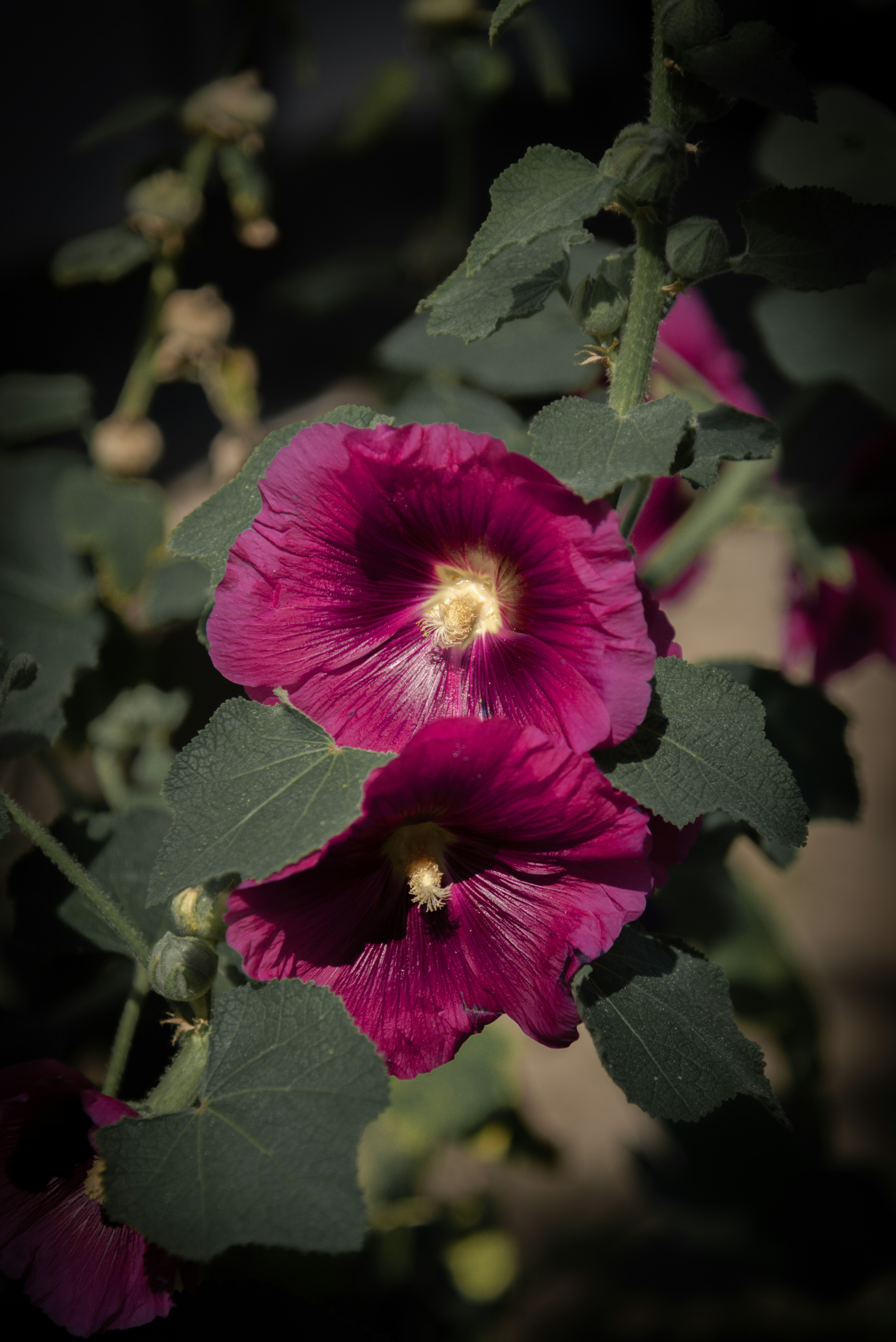 Photo by malwinanogaj