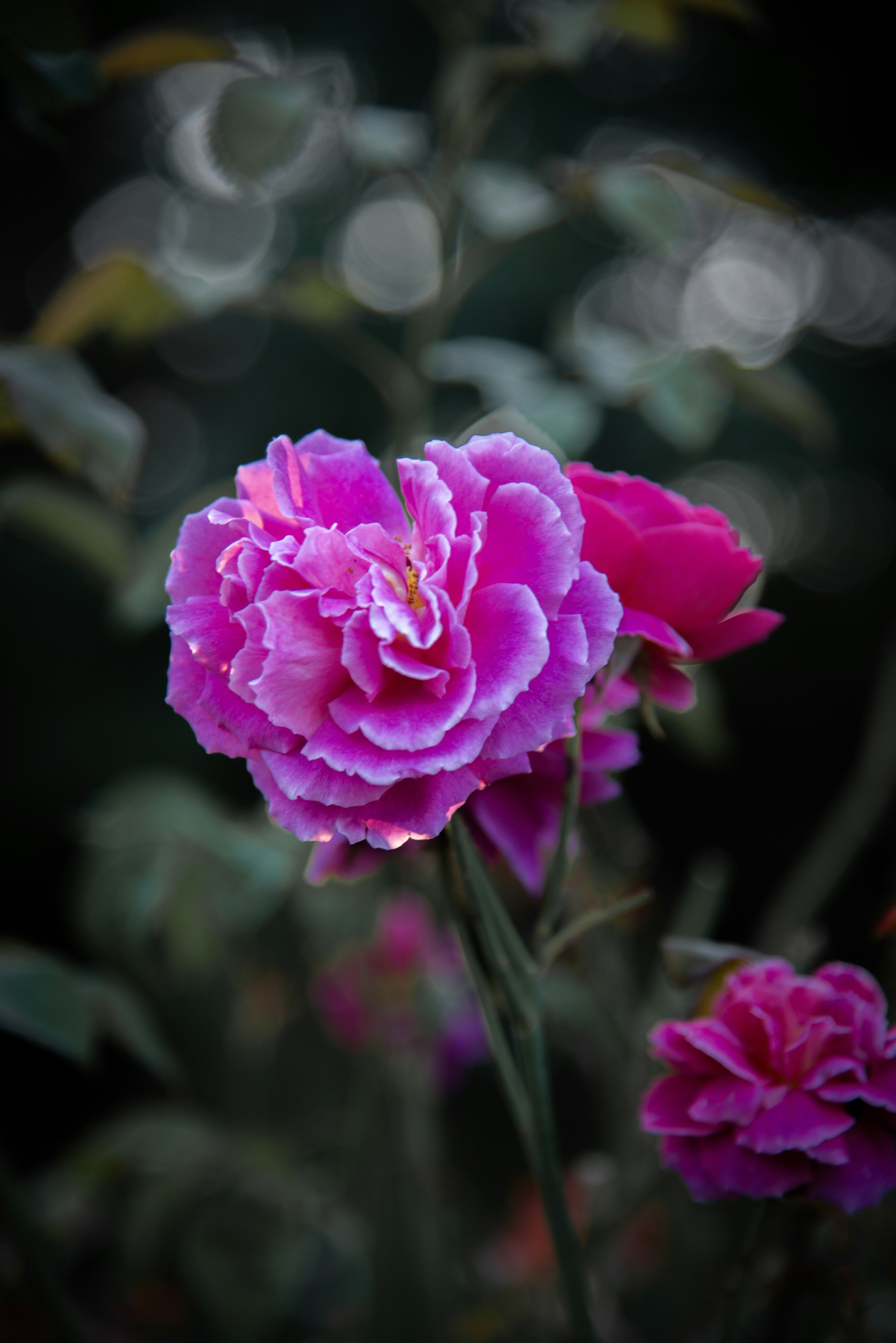 Photo by malwinanogaj