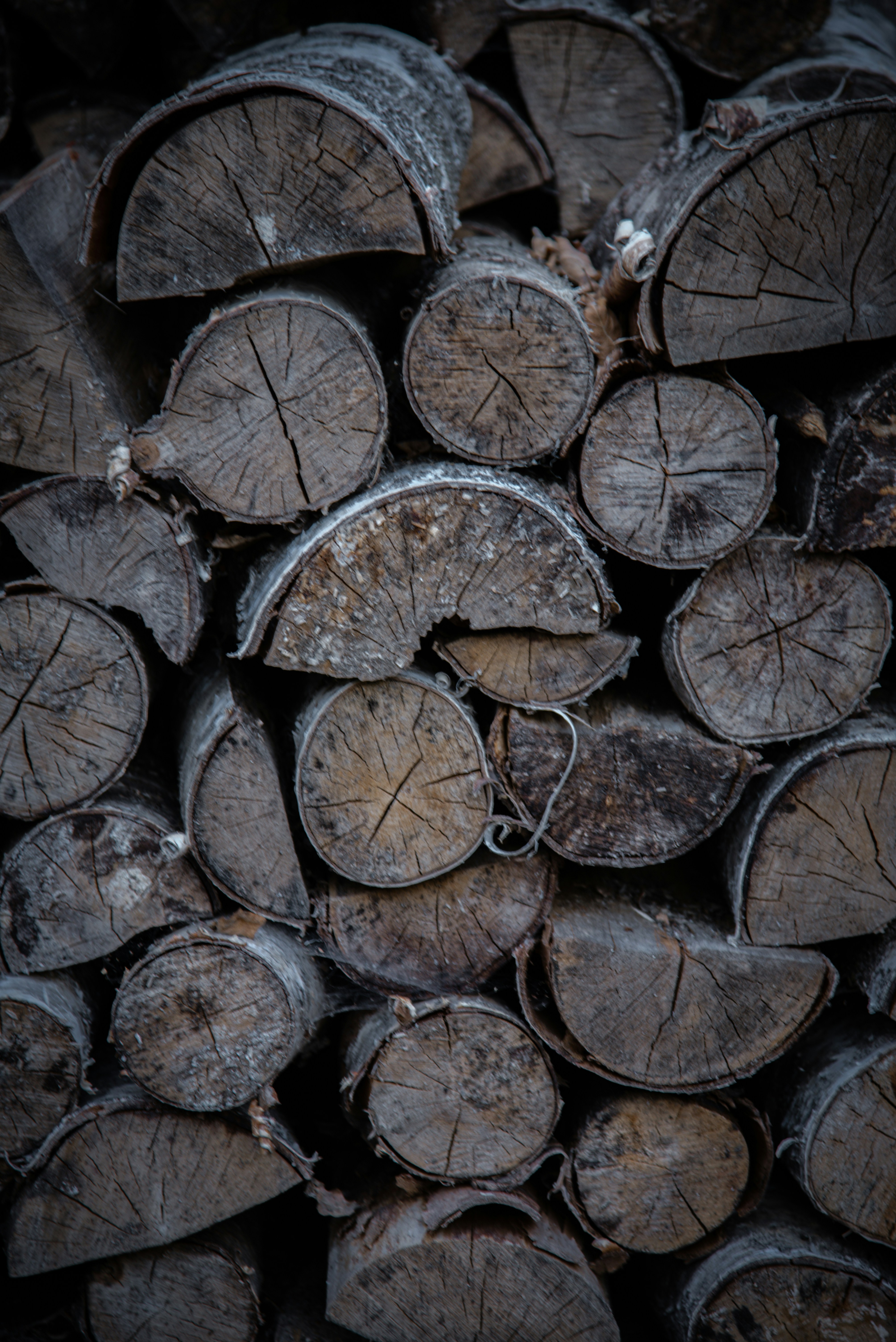 Photo by malwinanogaj