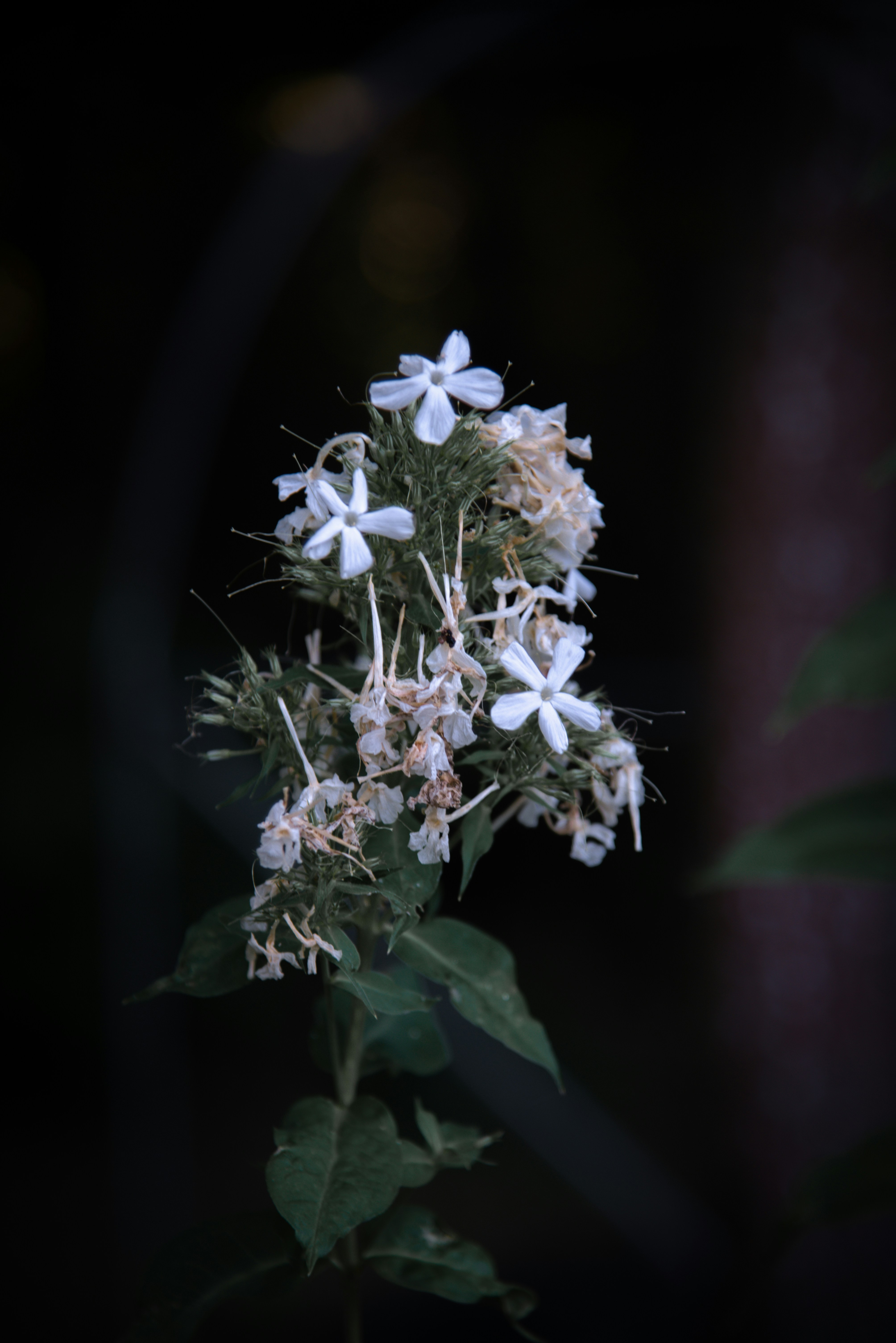 Photo by malwinanogaj