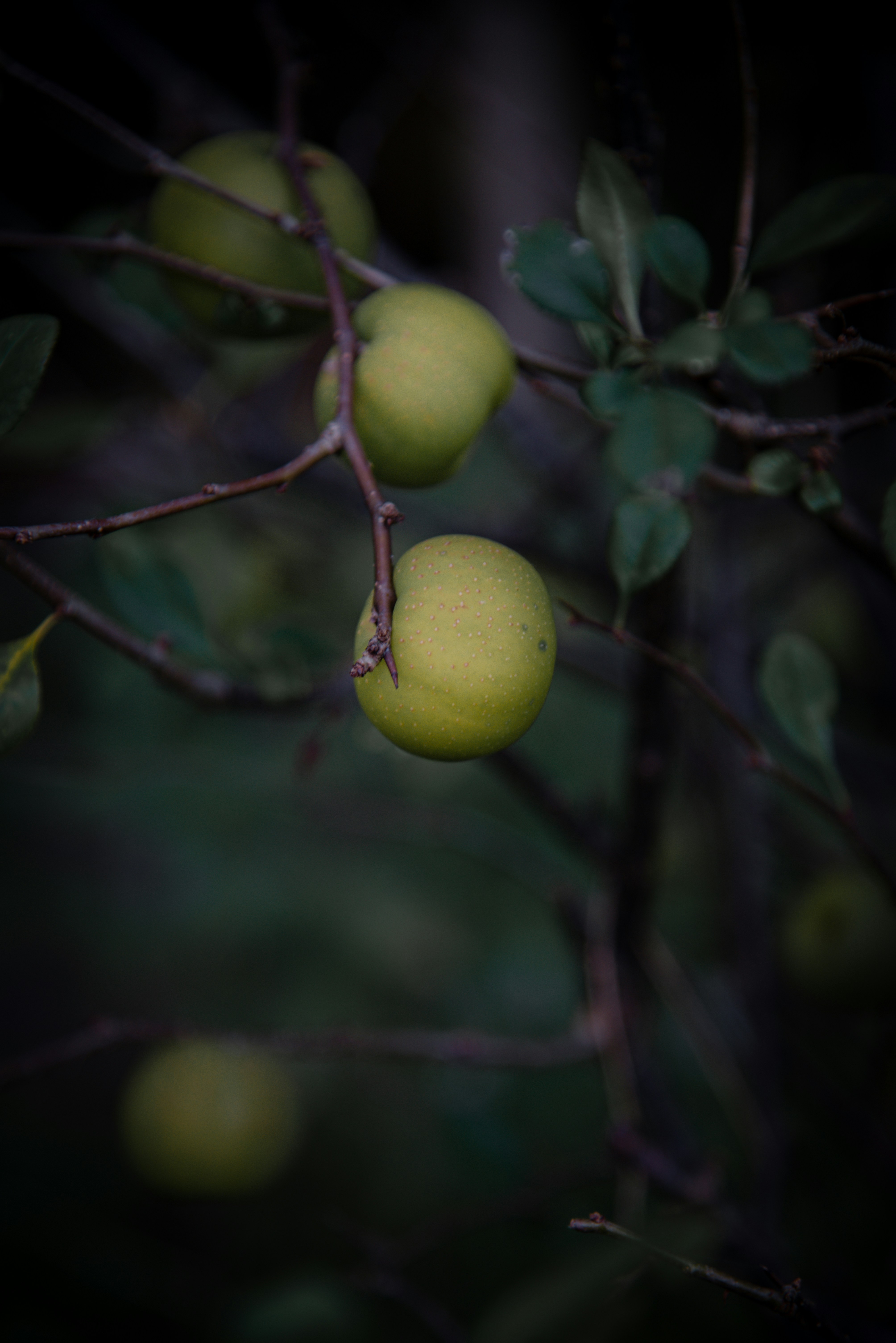 Photo by malwinanogaj