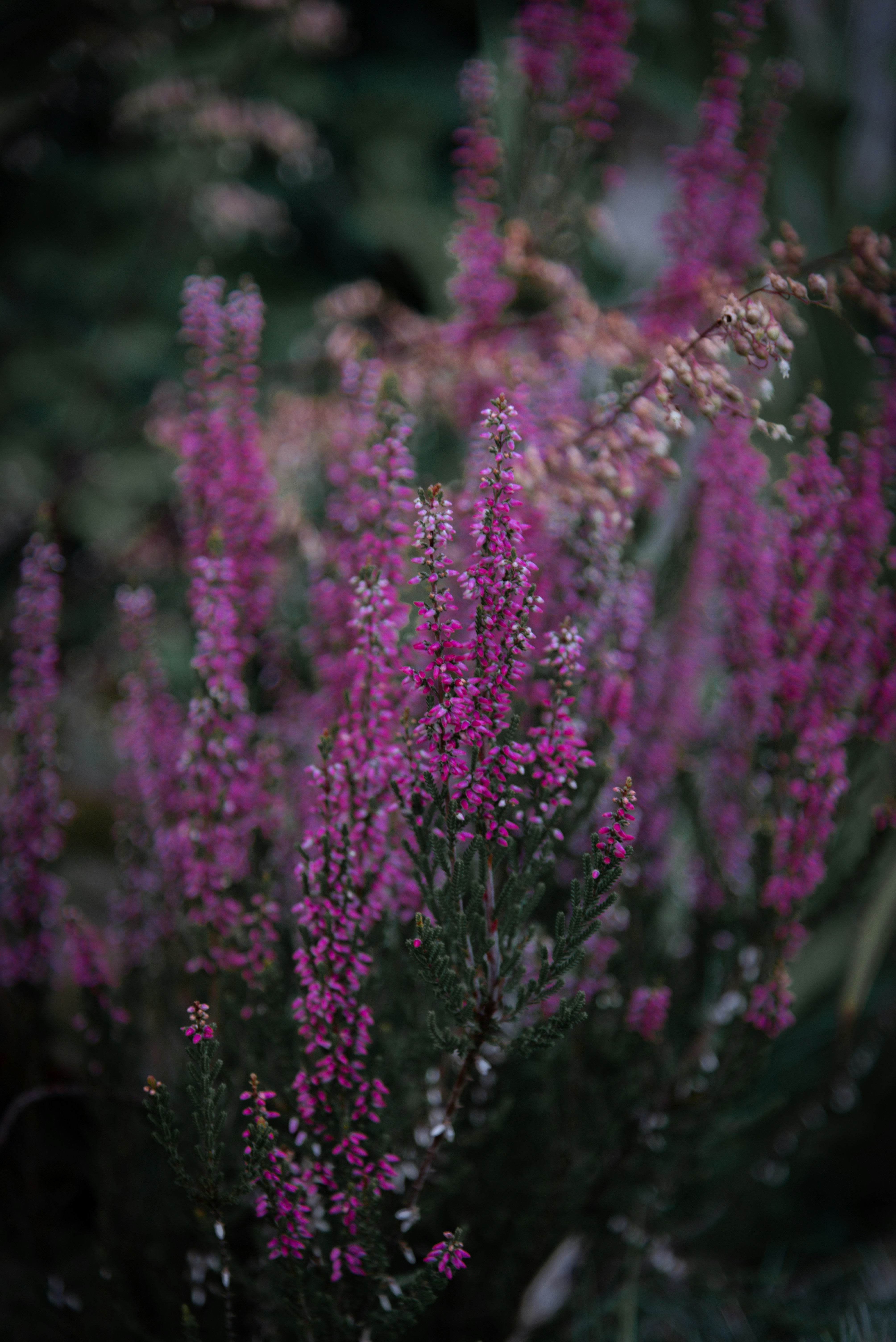 Photo by malwinanogaj