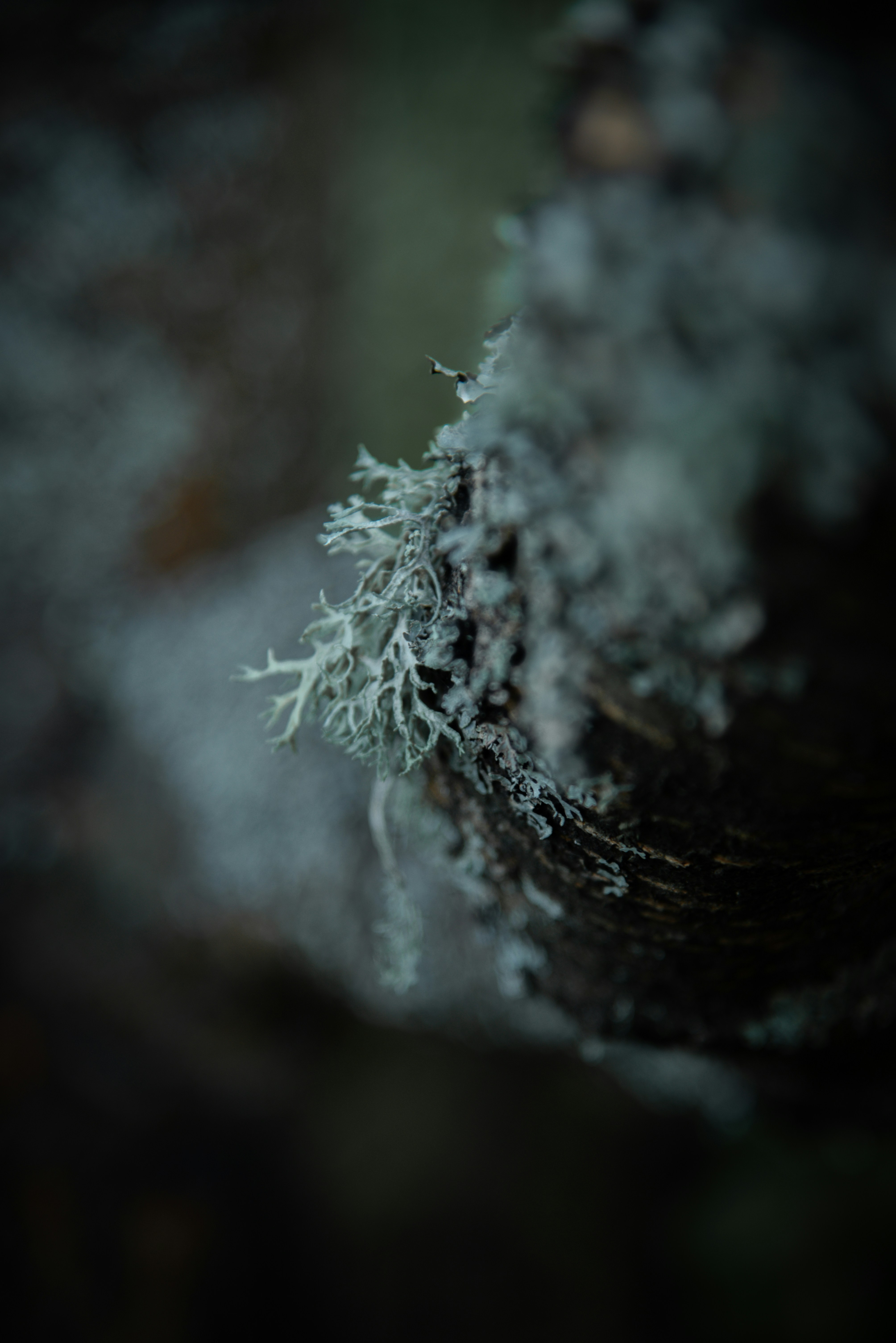 Photo by malwinanogaj