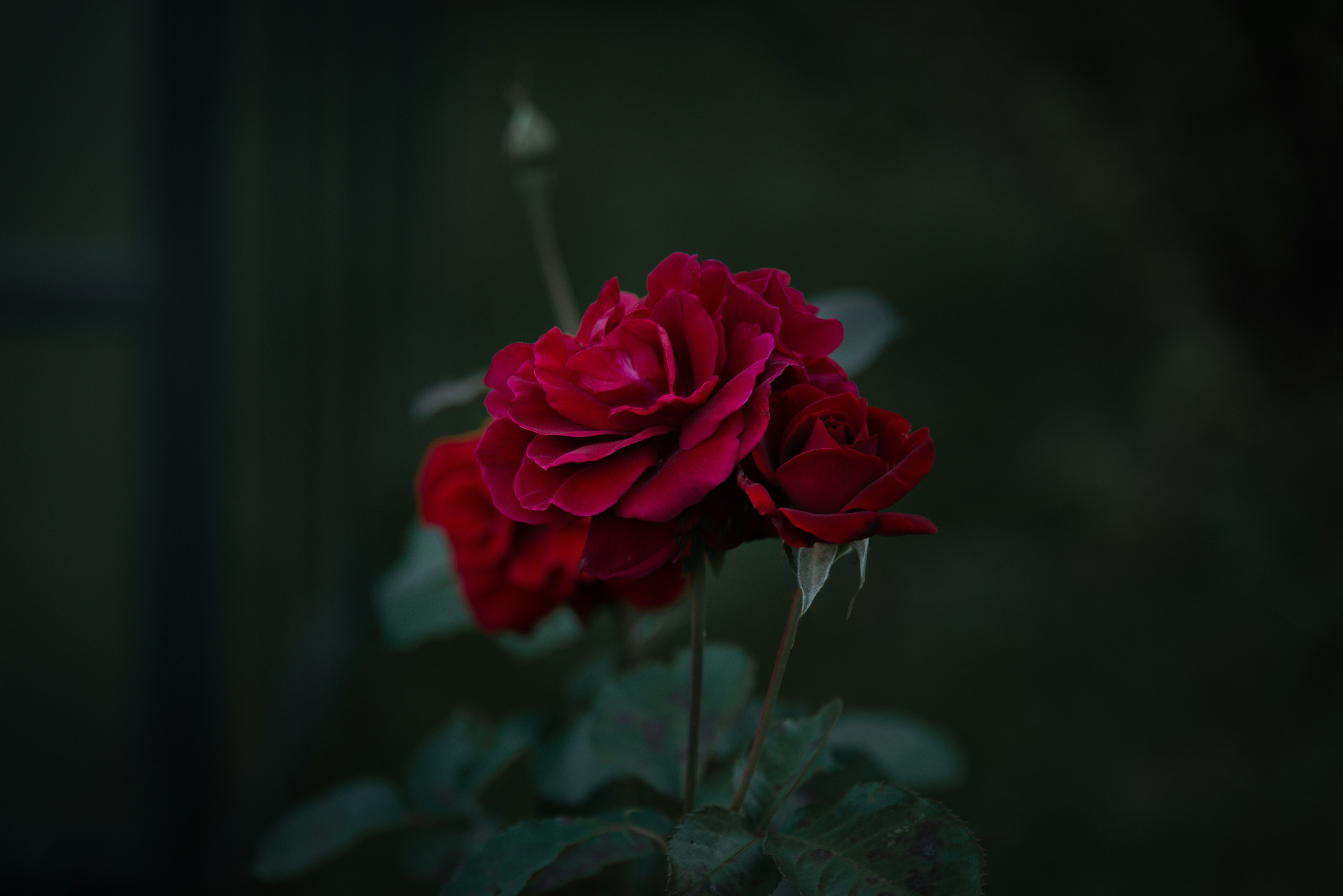 Photo by malwinanogaj