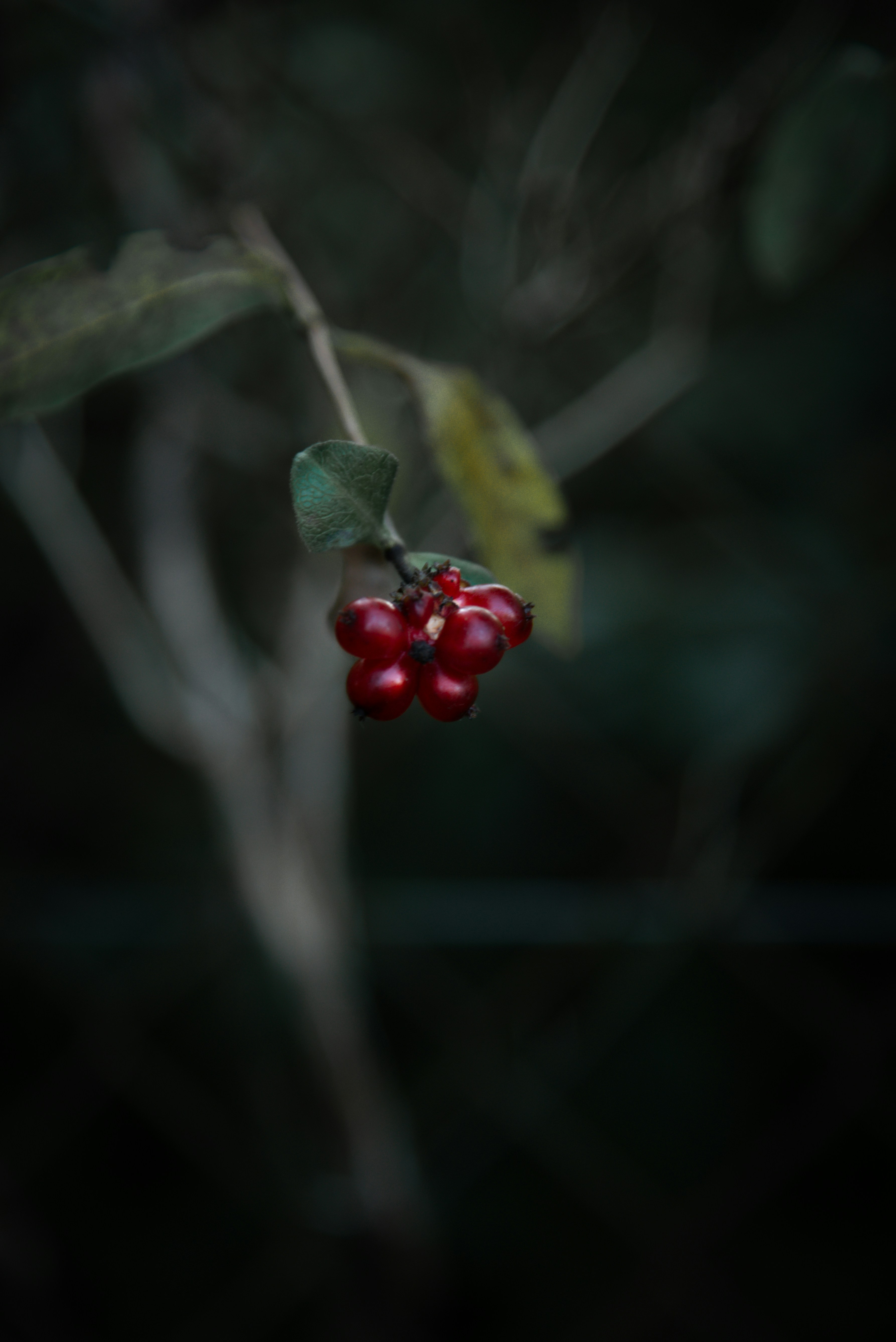 Photo by malwinanogaj