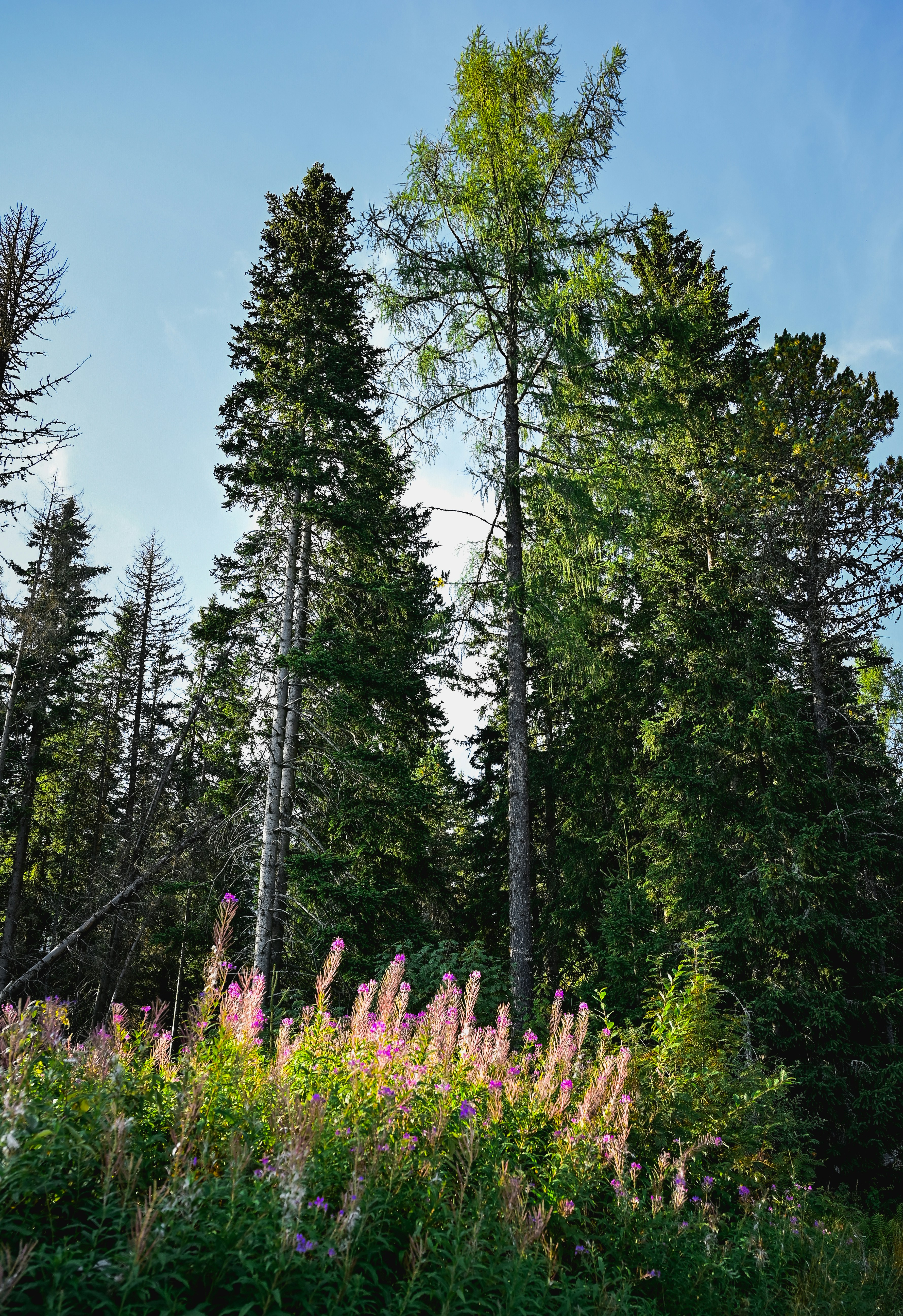 Photo by alexandra_p_d