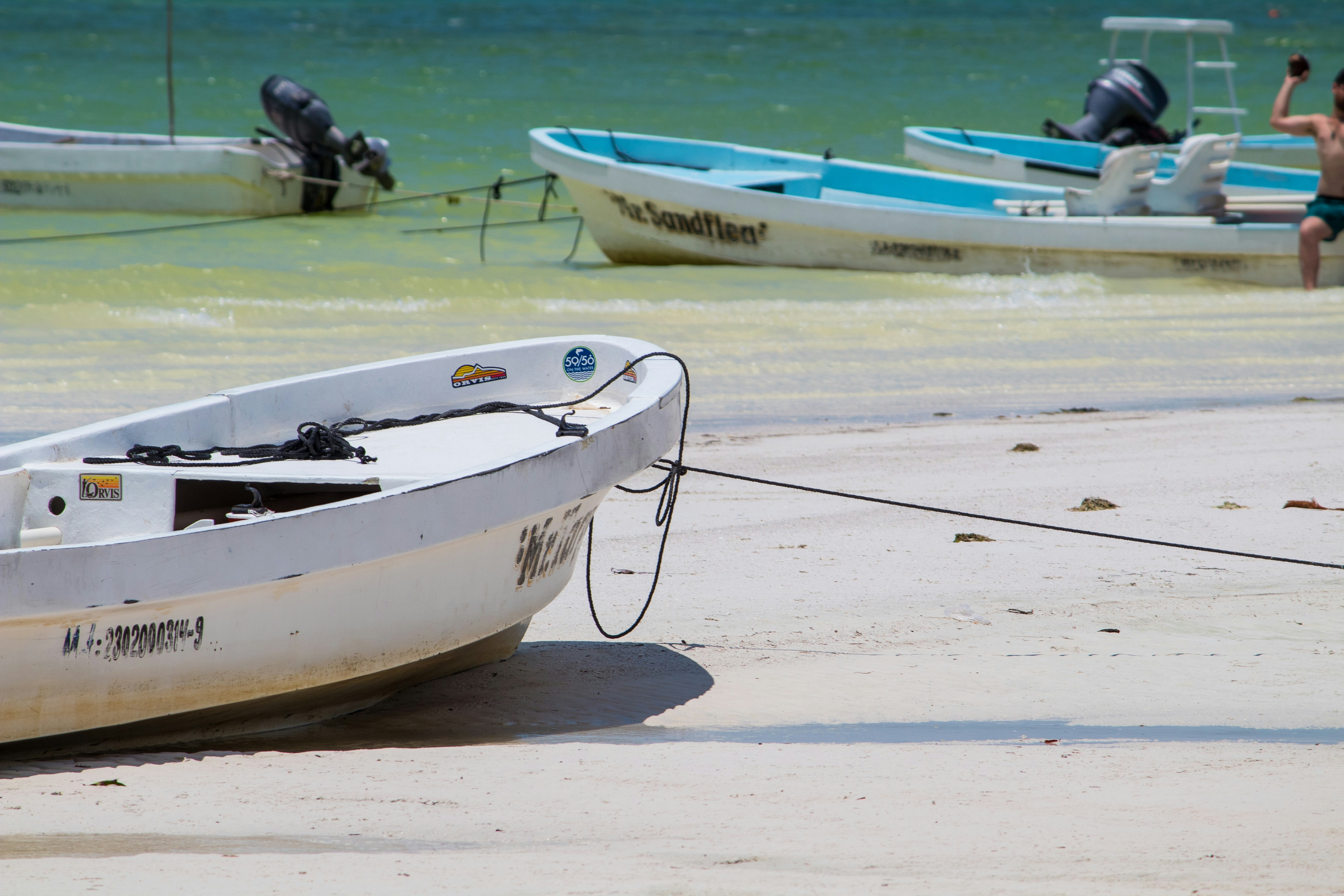 Holbox Island, Mexico - None