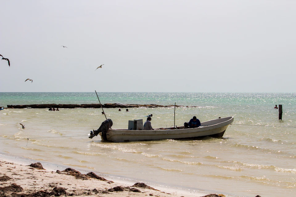 The image depicts a small white boat with two people aboard, floating on a body of water near the shoreline. The boat is equipped with a motor and appears to be moving towards the right side of the frame. In the background, several seagulls are captured in flight, adding a sense of movement and life to the scene.

The sky above is overcast, casting a soft light on the water below. The shoreline itself is sandy with small rocks scattered throughout, providing a natural boundary between the boat and the beach.