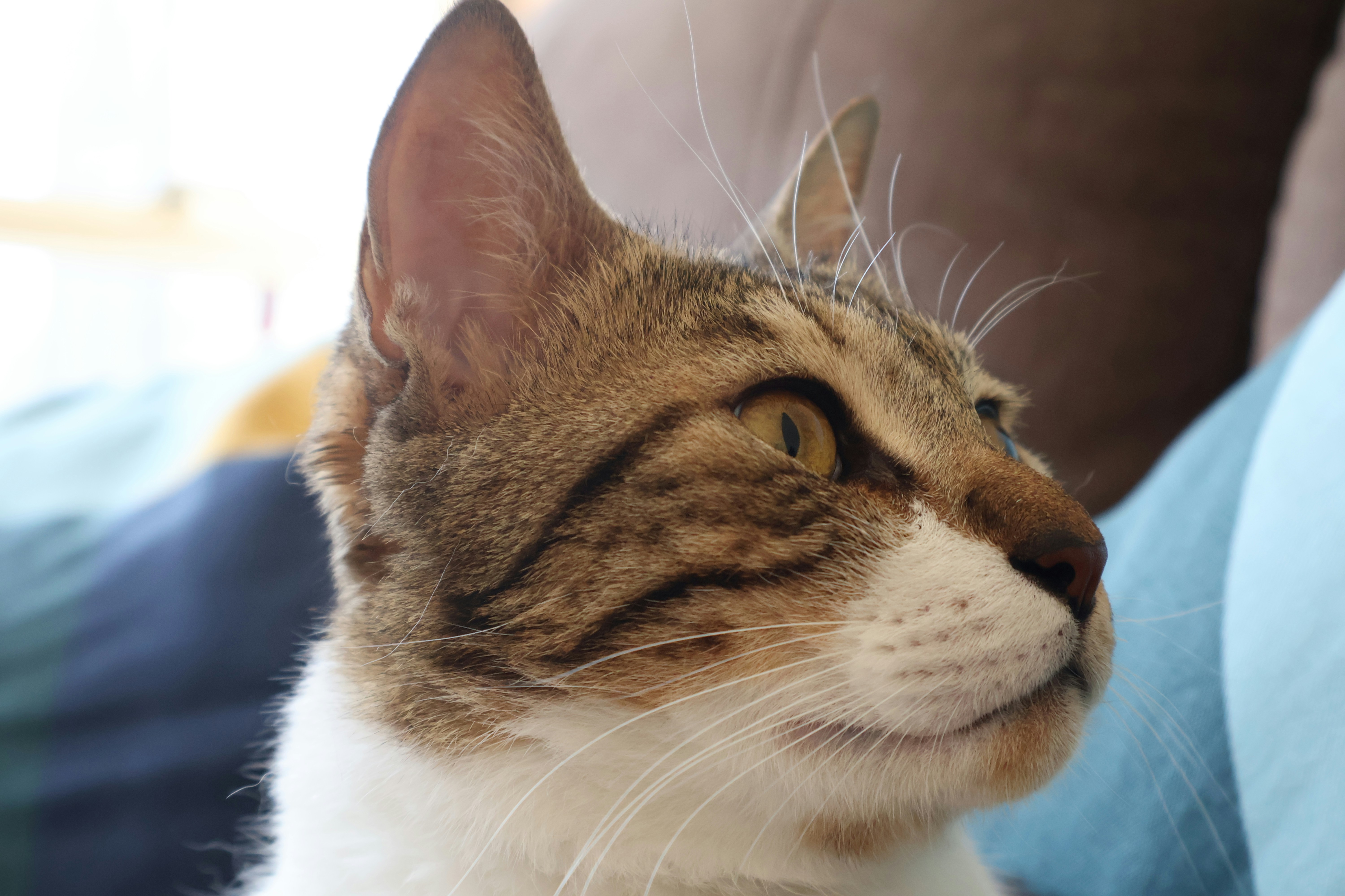 Photo by parichha_rashni