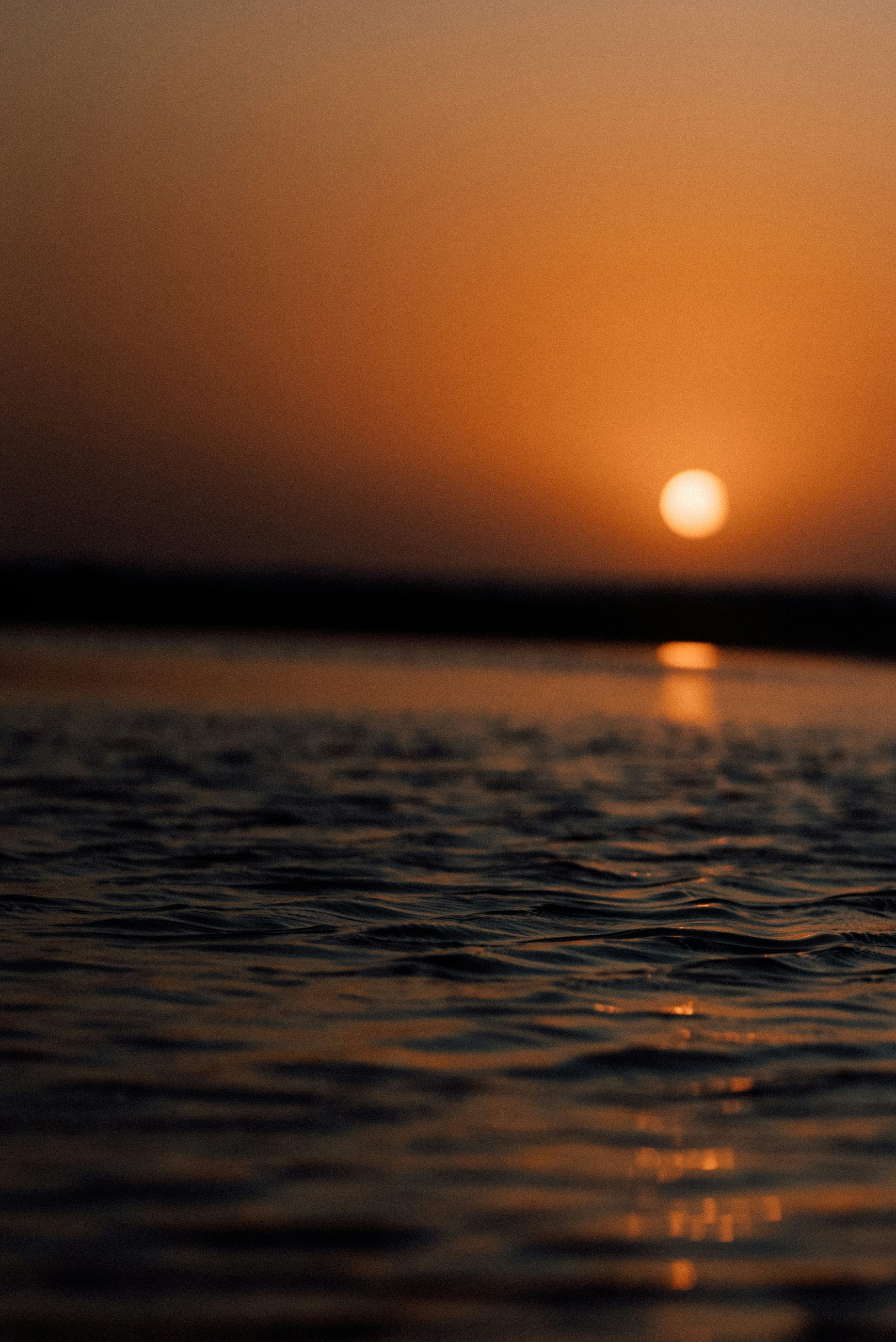 Daily Productive Sharing 1062 - Swimming as My Hobby