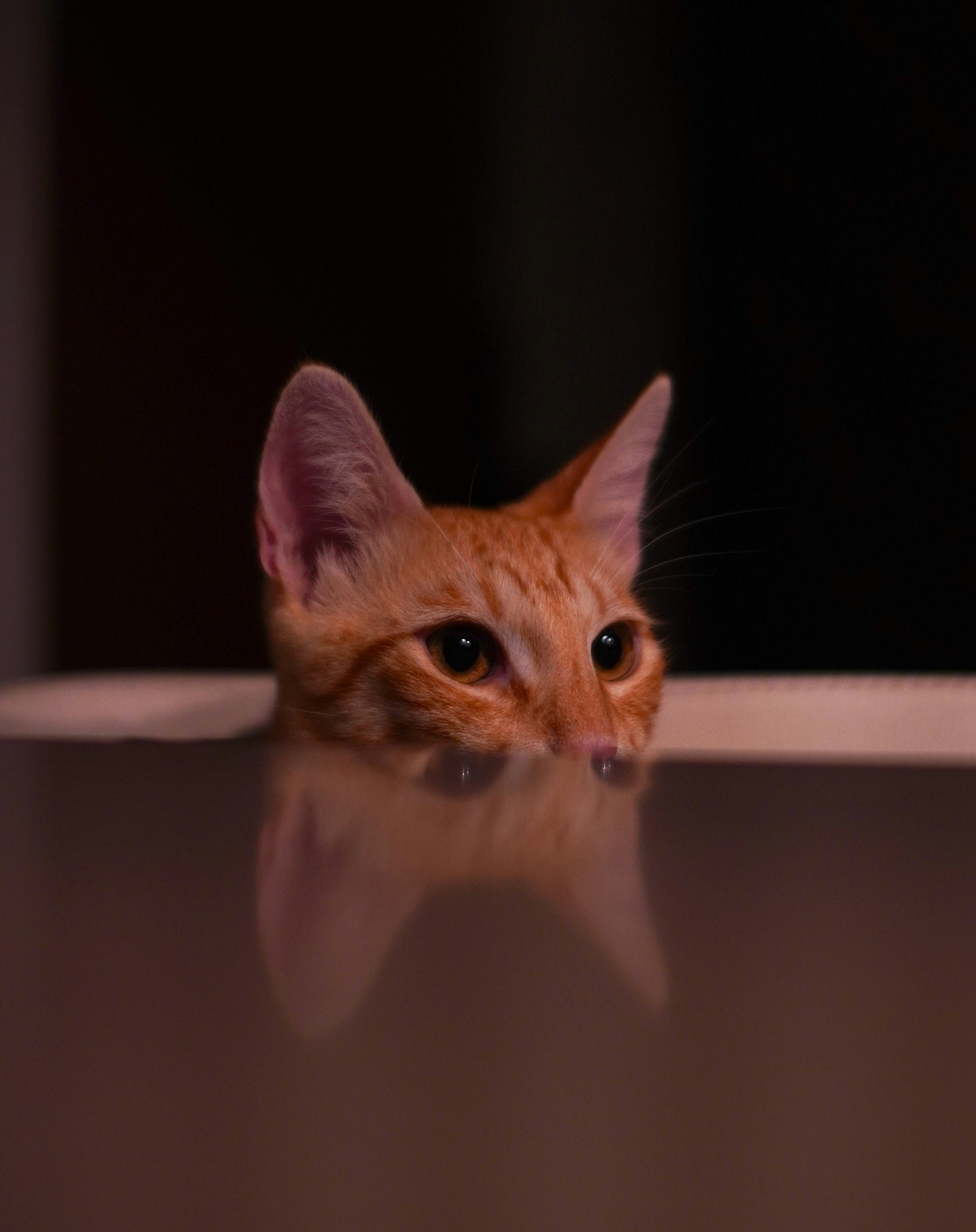 Photo by aerialshooter