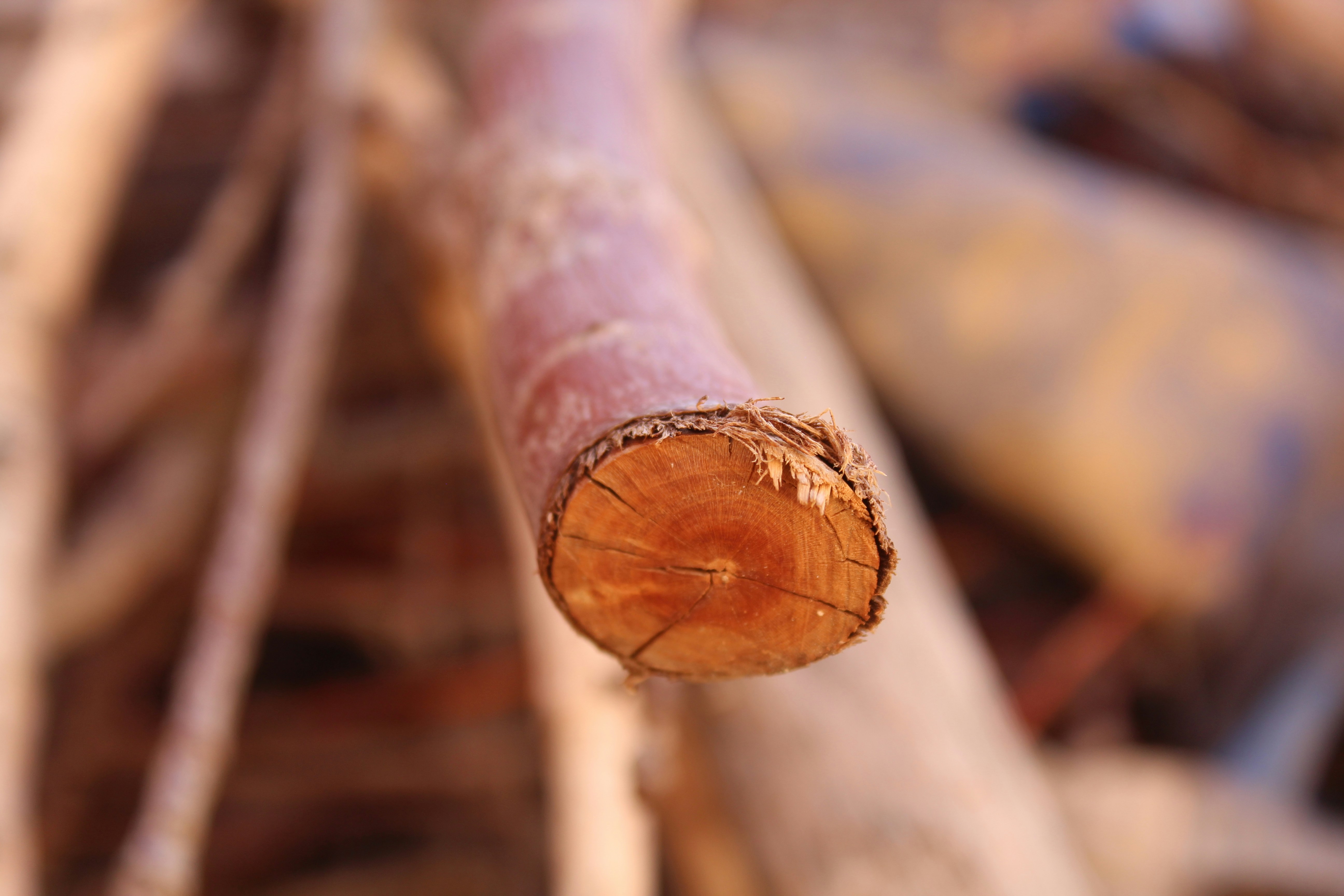 A close up of a piece of wood
