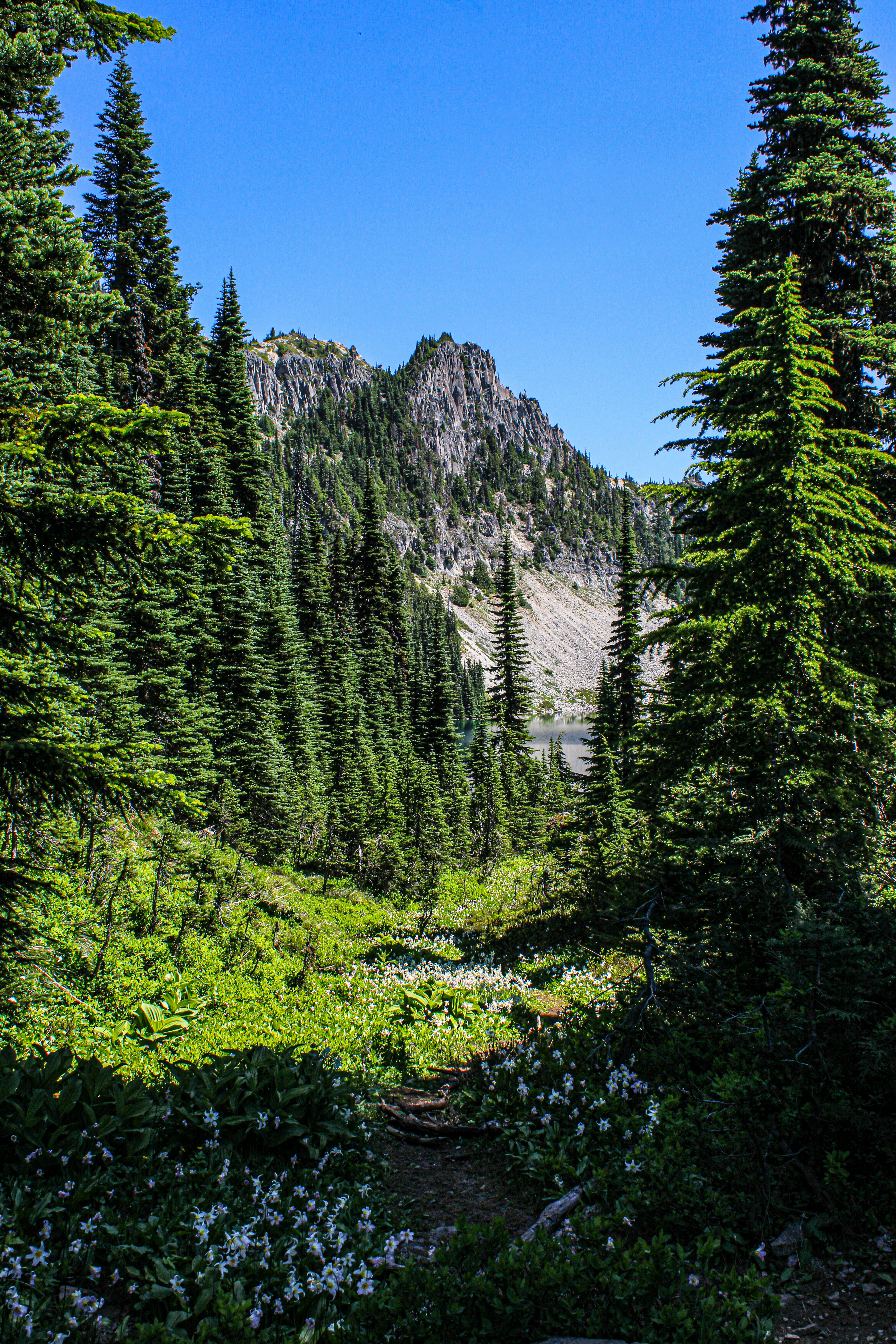 Photo by prphotography262