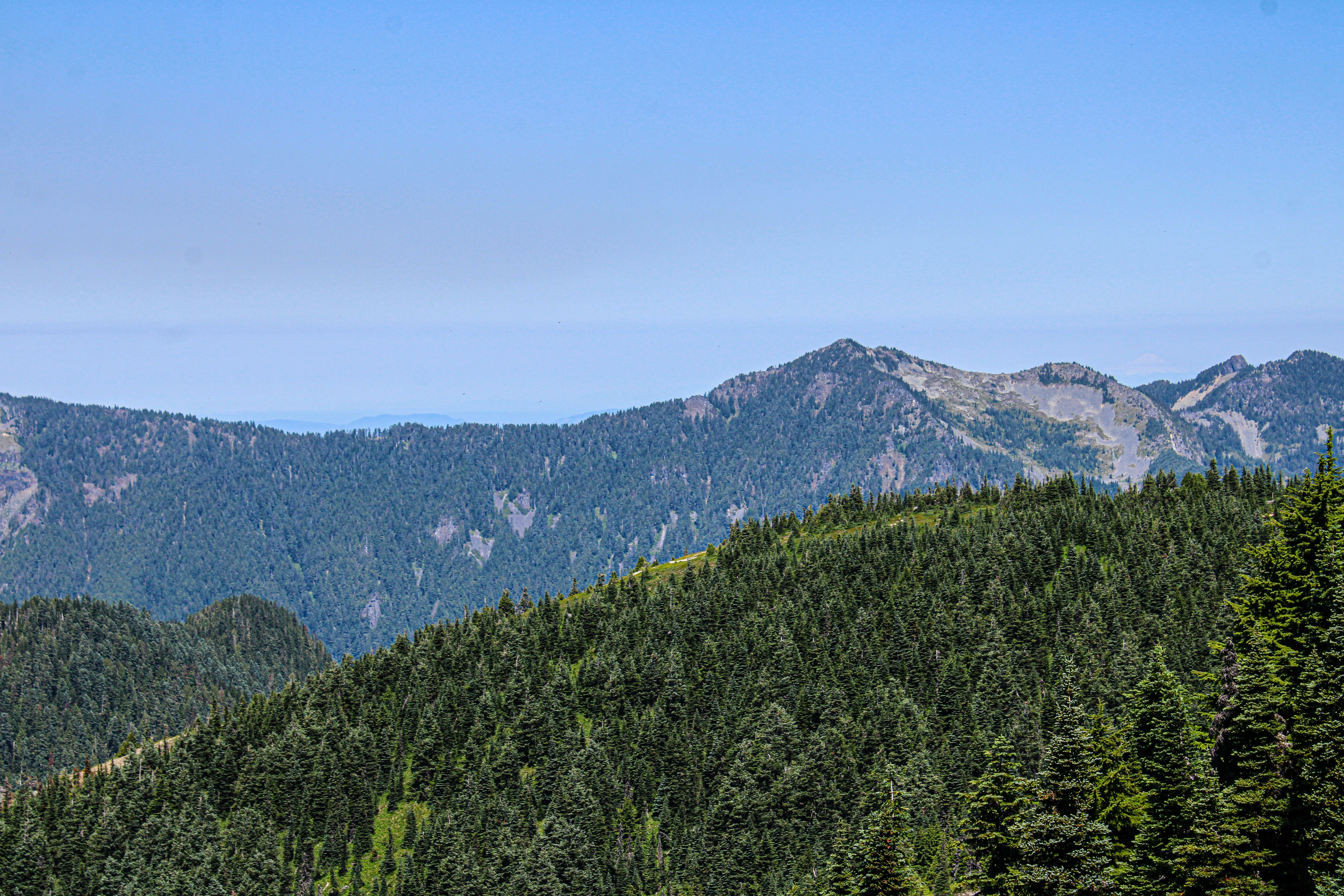 Photo by prphotography262