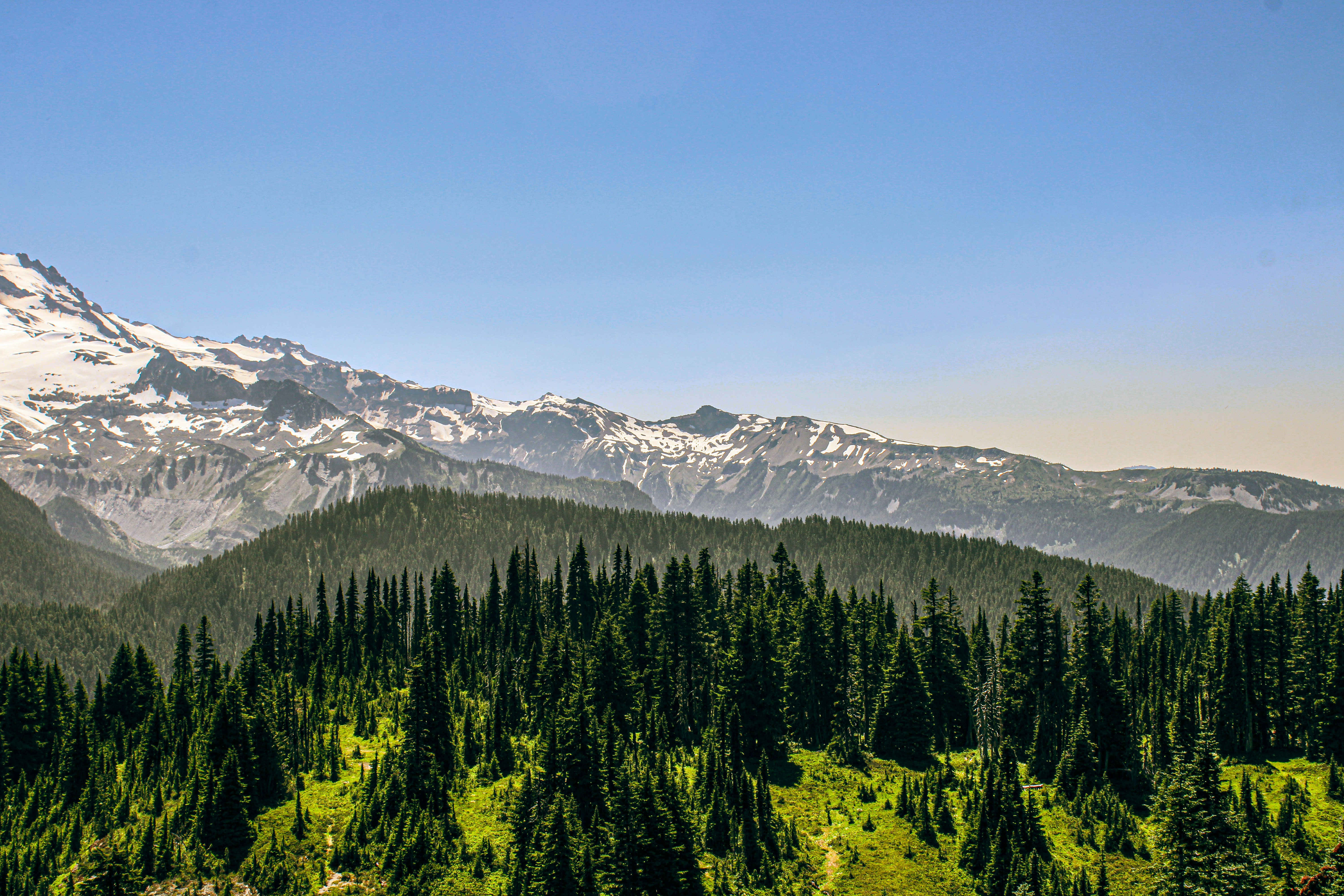 Photo by prphotography262