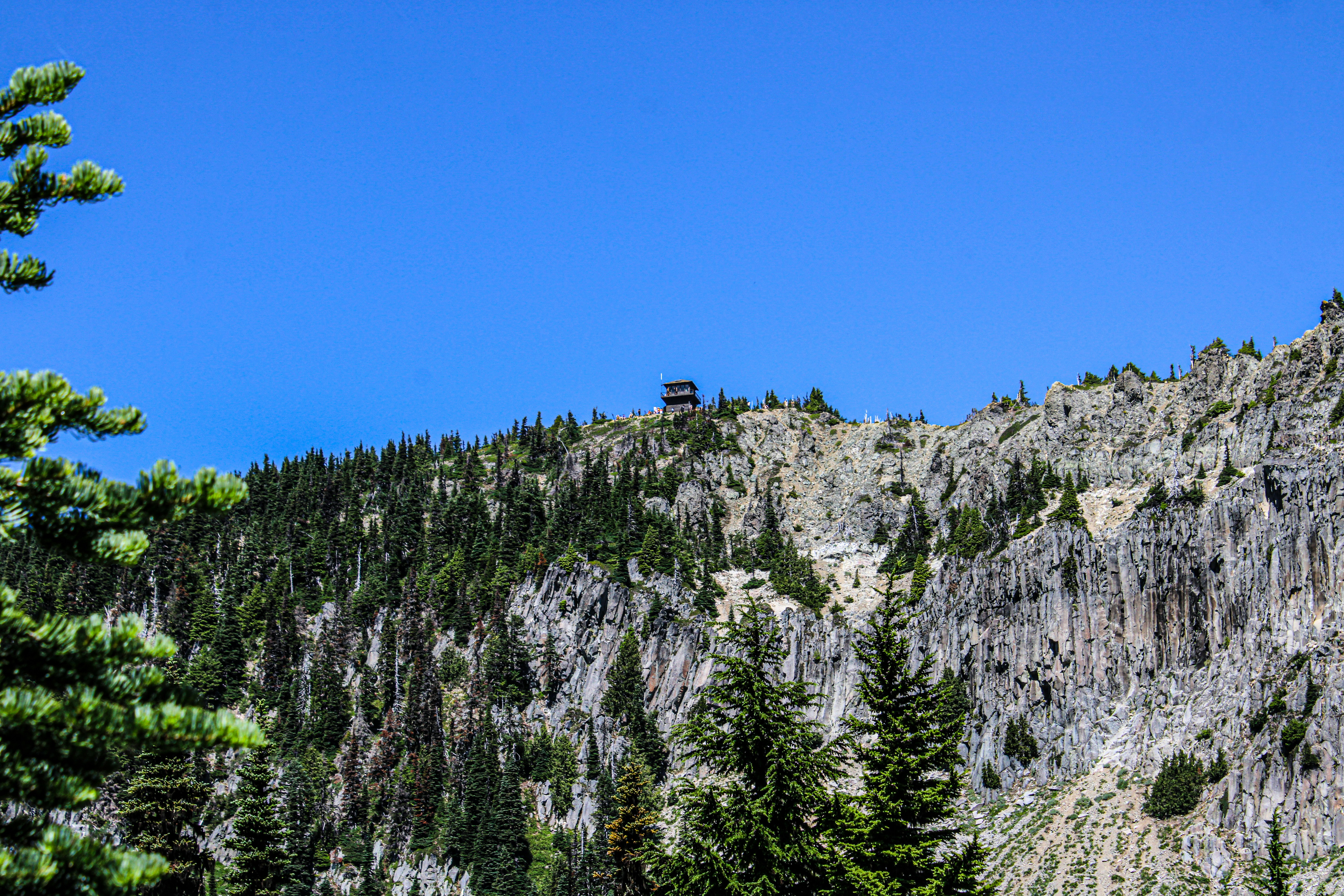 Photo by prphotography262