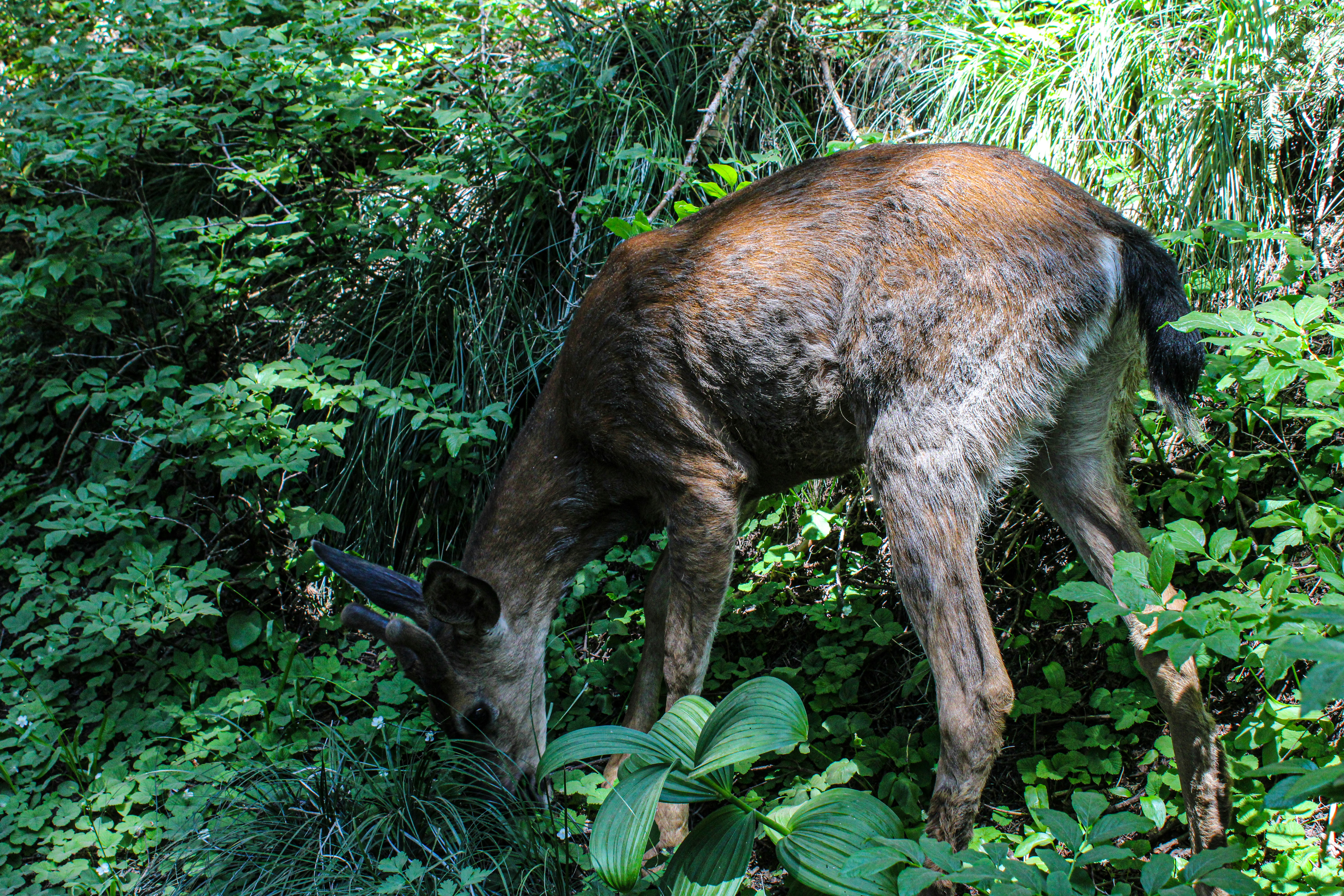 Photo by prphotography262