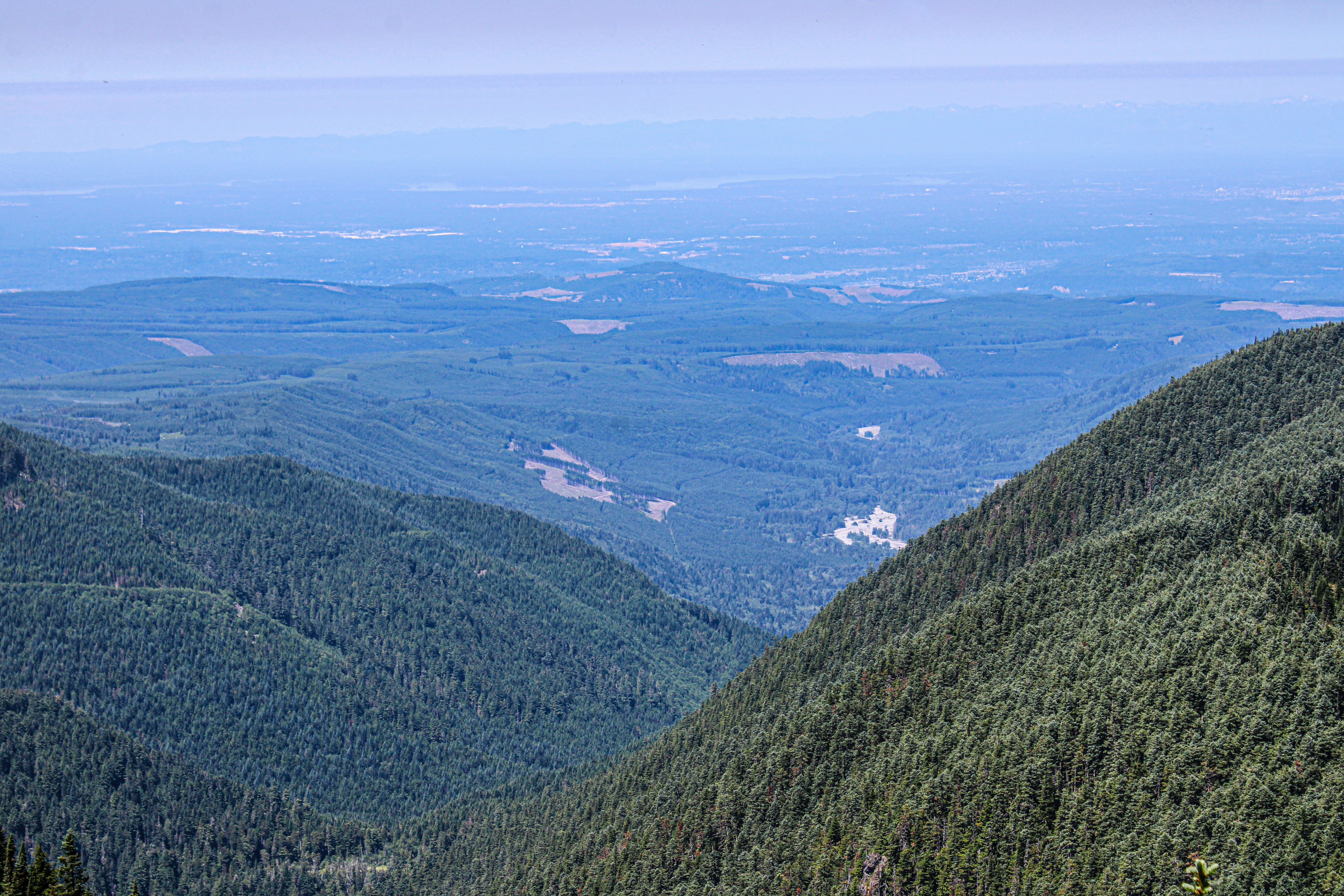 Photo by prphotography262