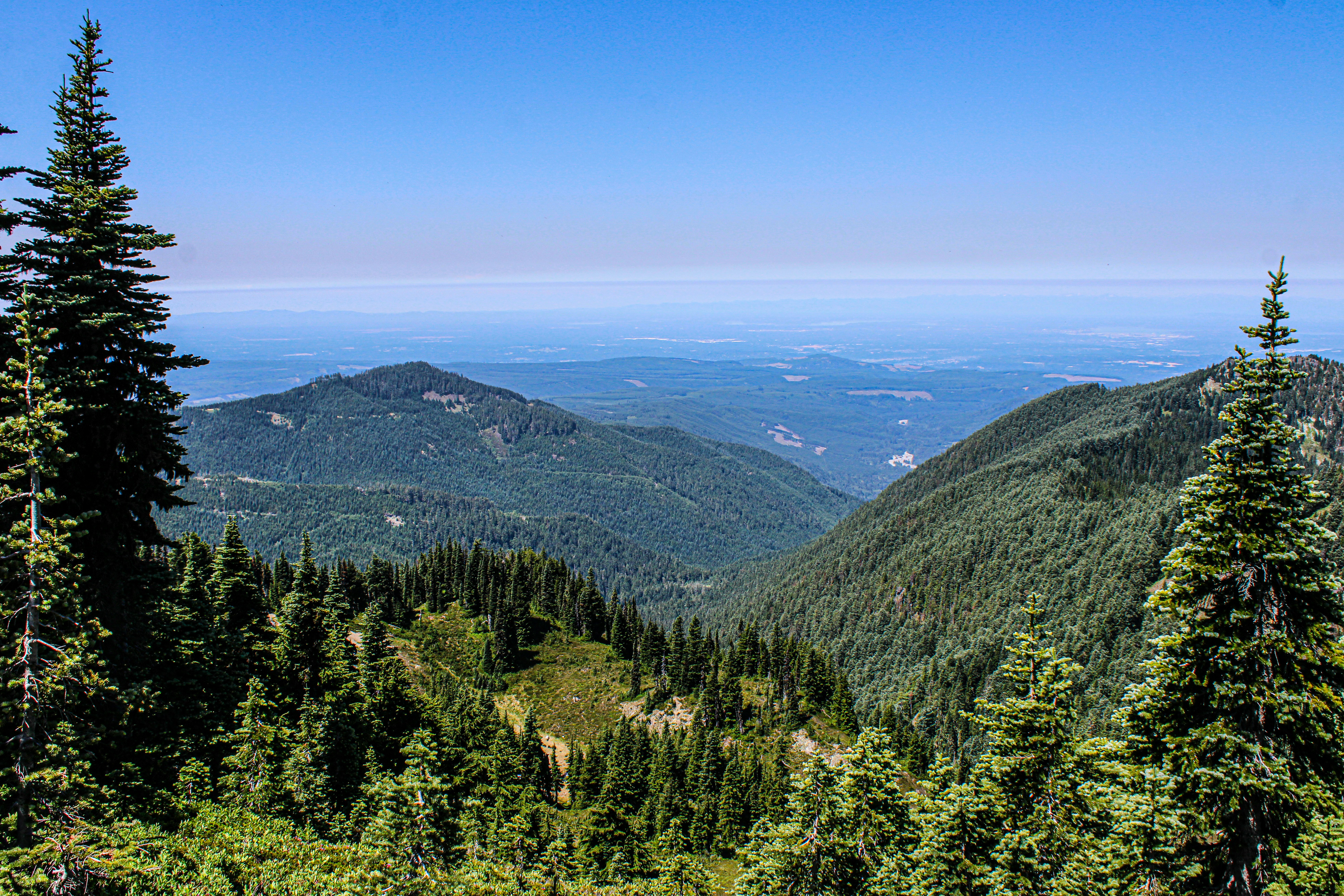 Photo by prphotography262