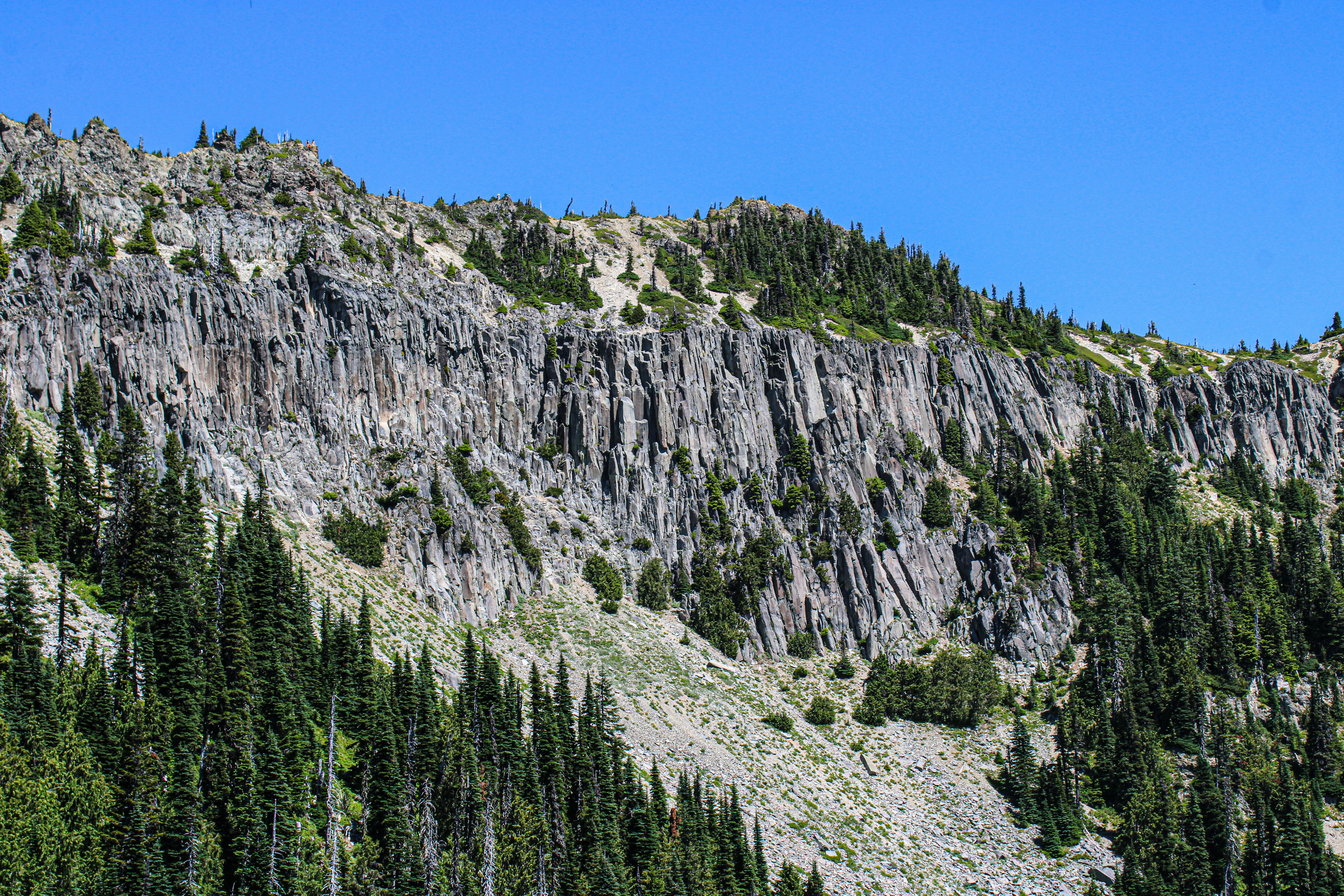 Photo by prphotography262