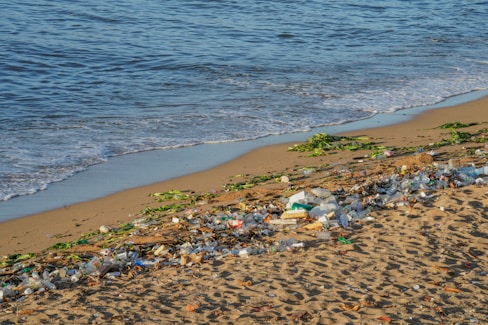 A beach covered in lots of trash next to the ocean