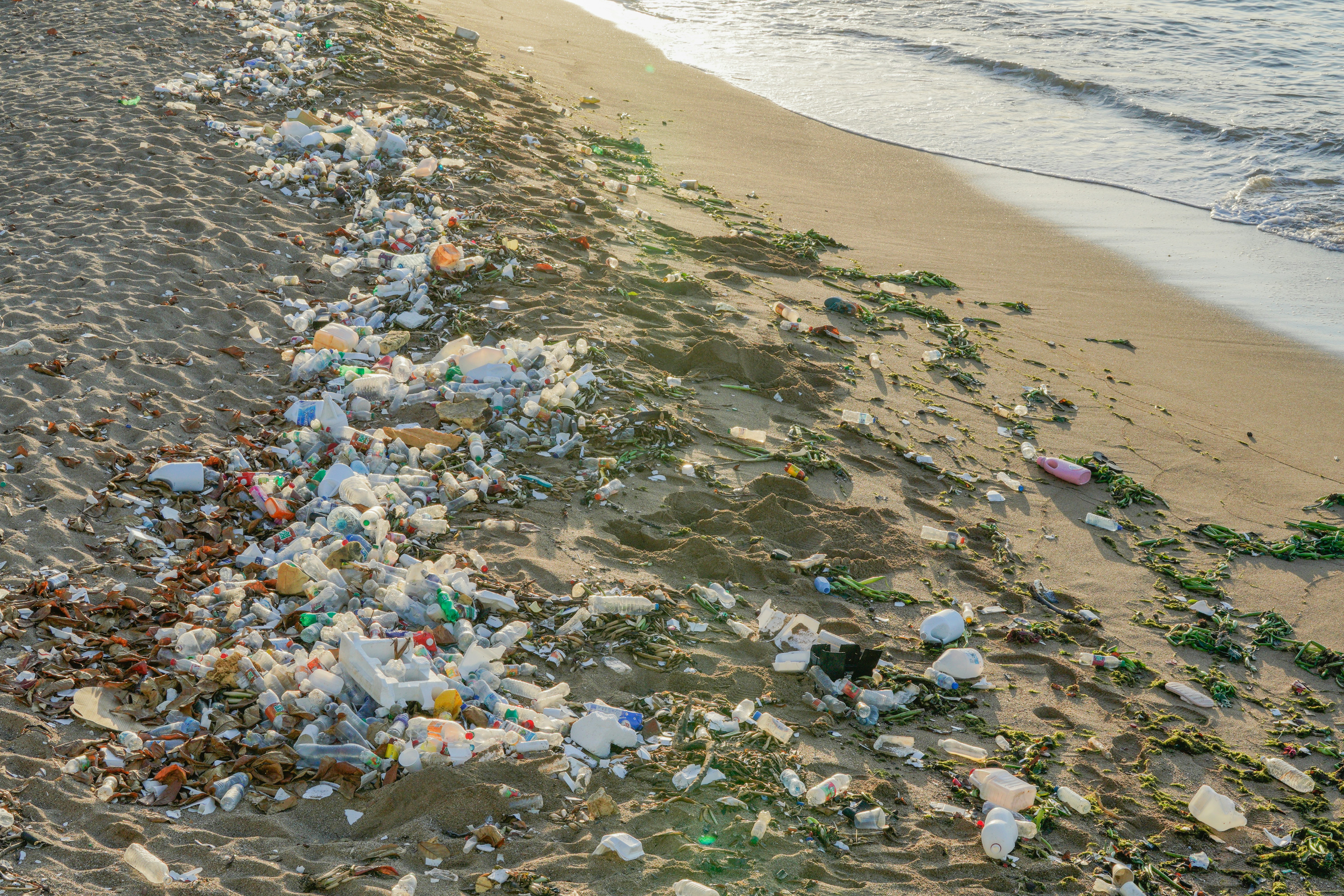 Photo by aldwardcv31