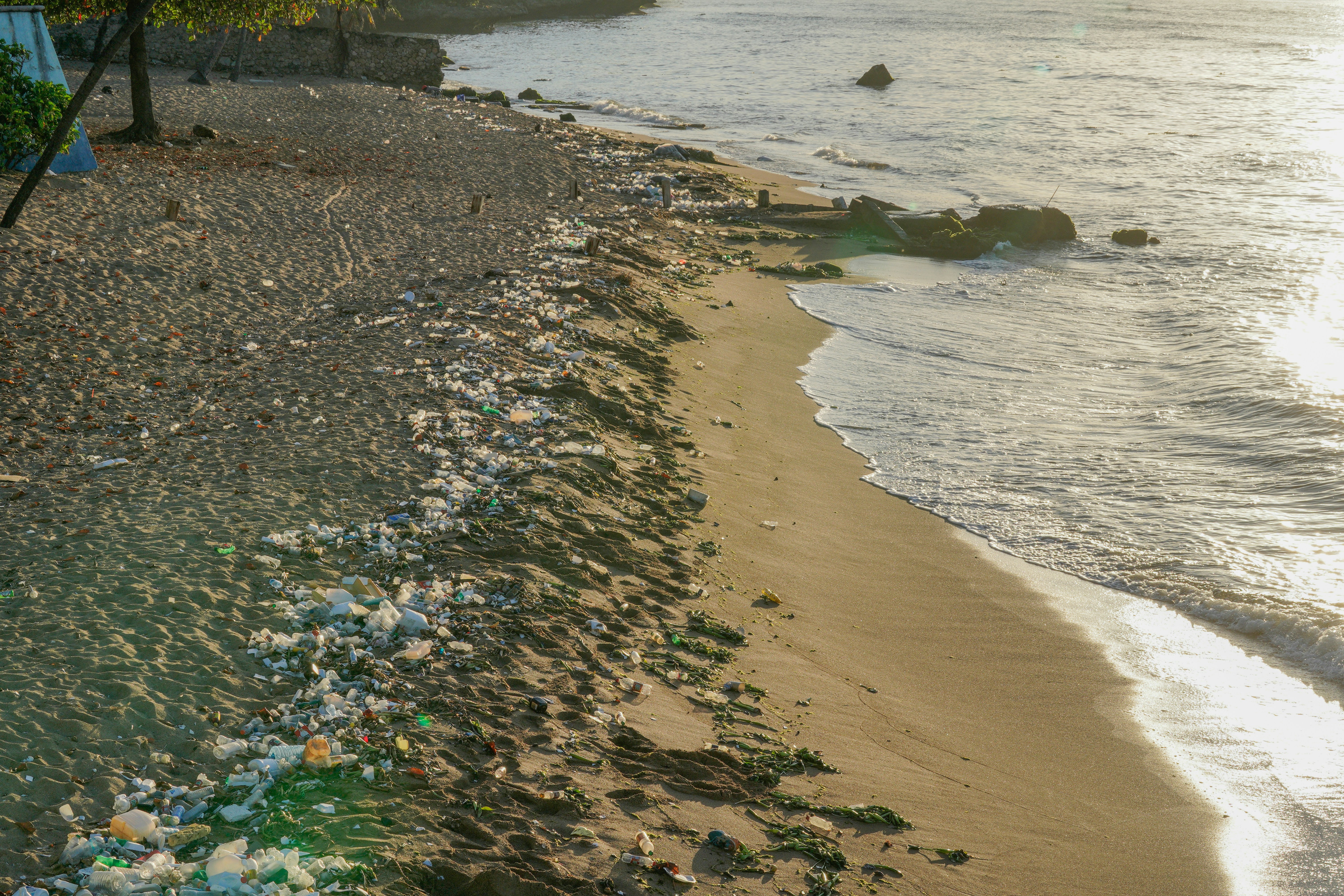 Photo by aldwardcv31