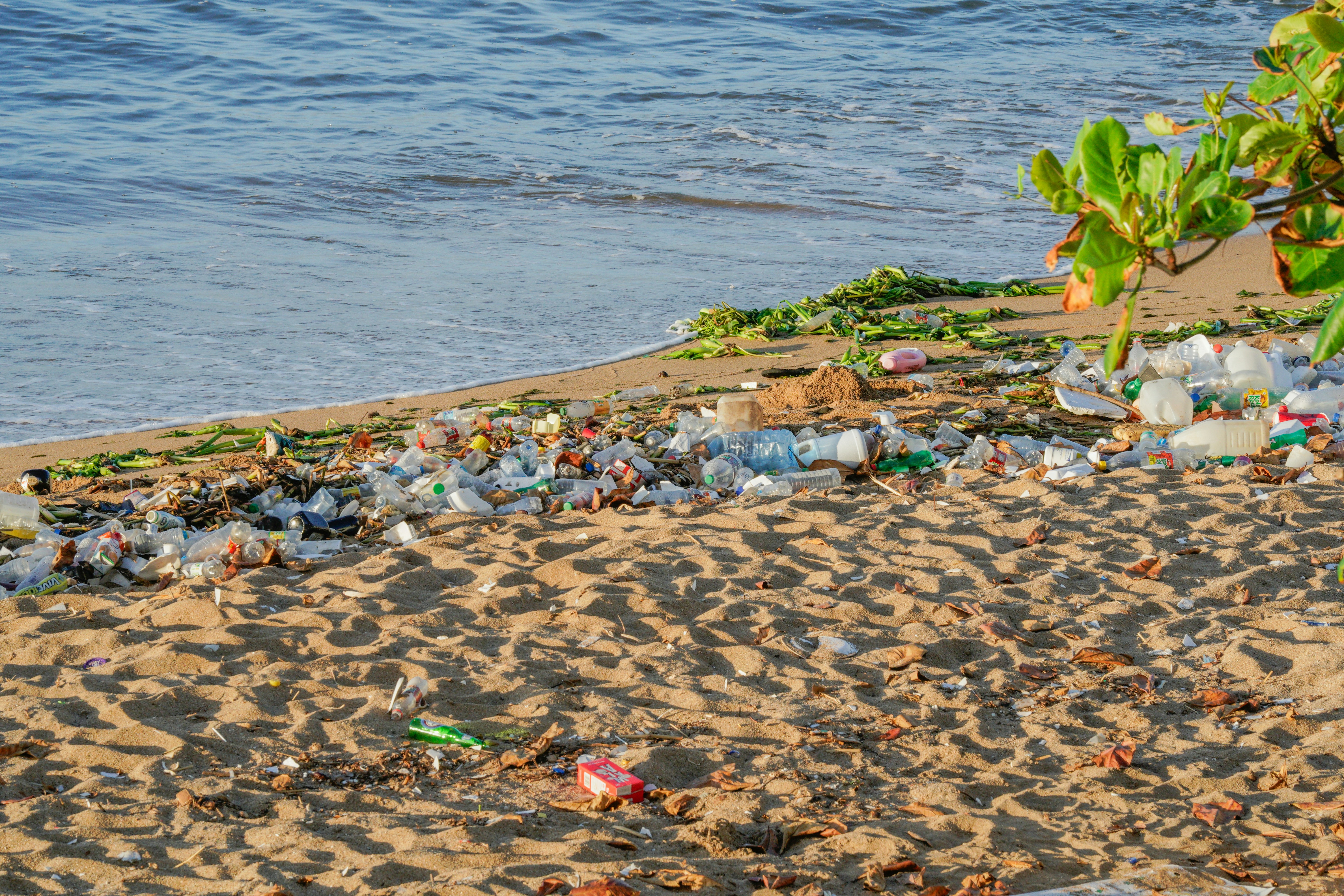 Photo by aldwardcv31