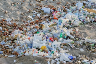 A pile of trash sitting on top of a sandy beach