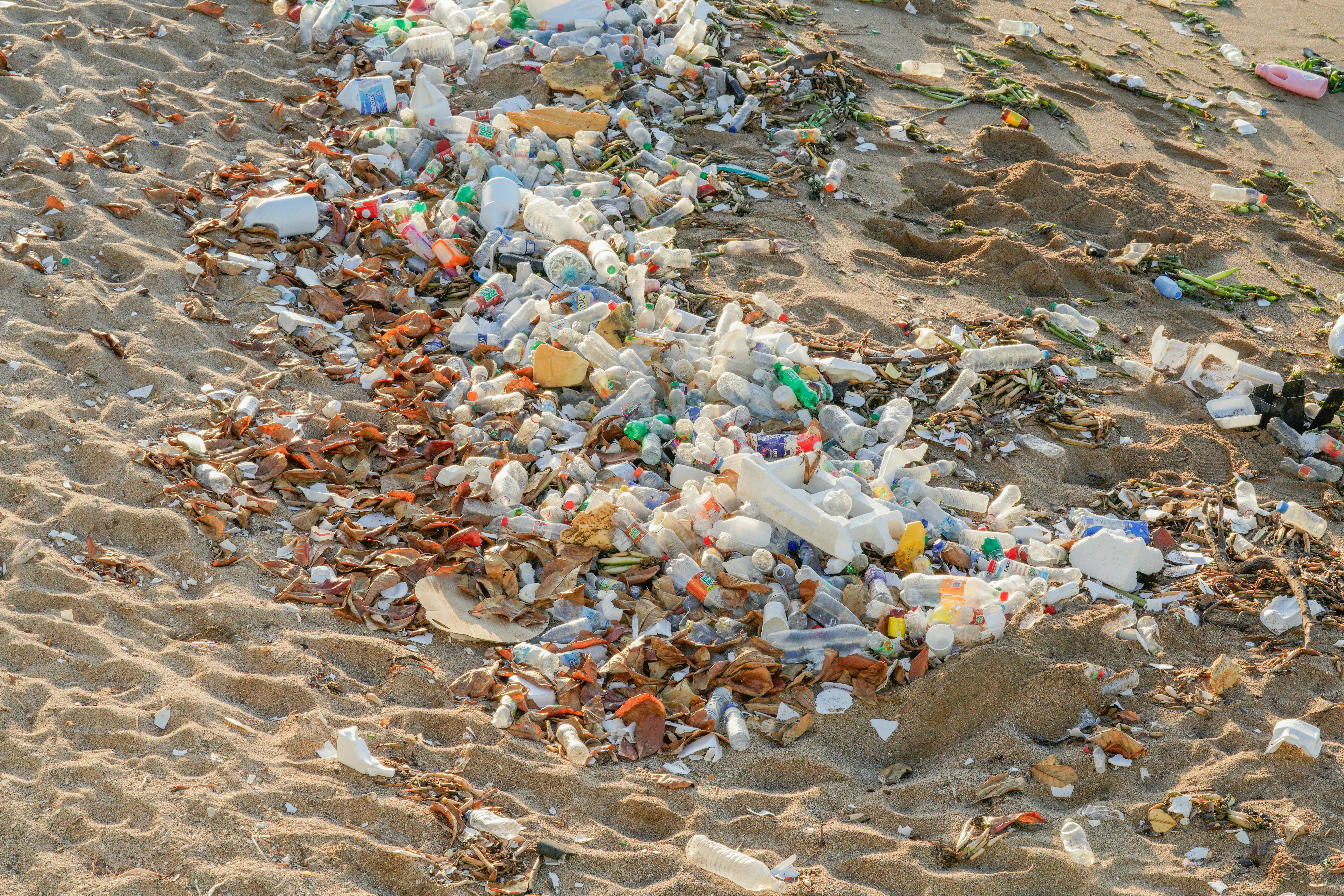 Natural vs Synthetic: The Great Biodegradable Divide (image credits: unsplash)