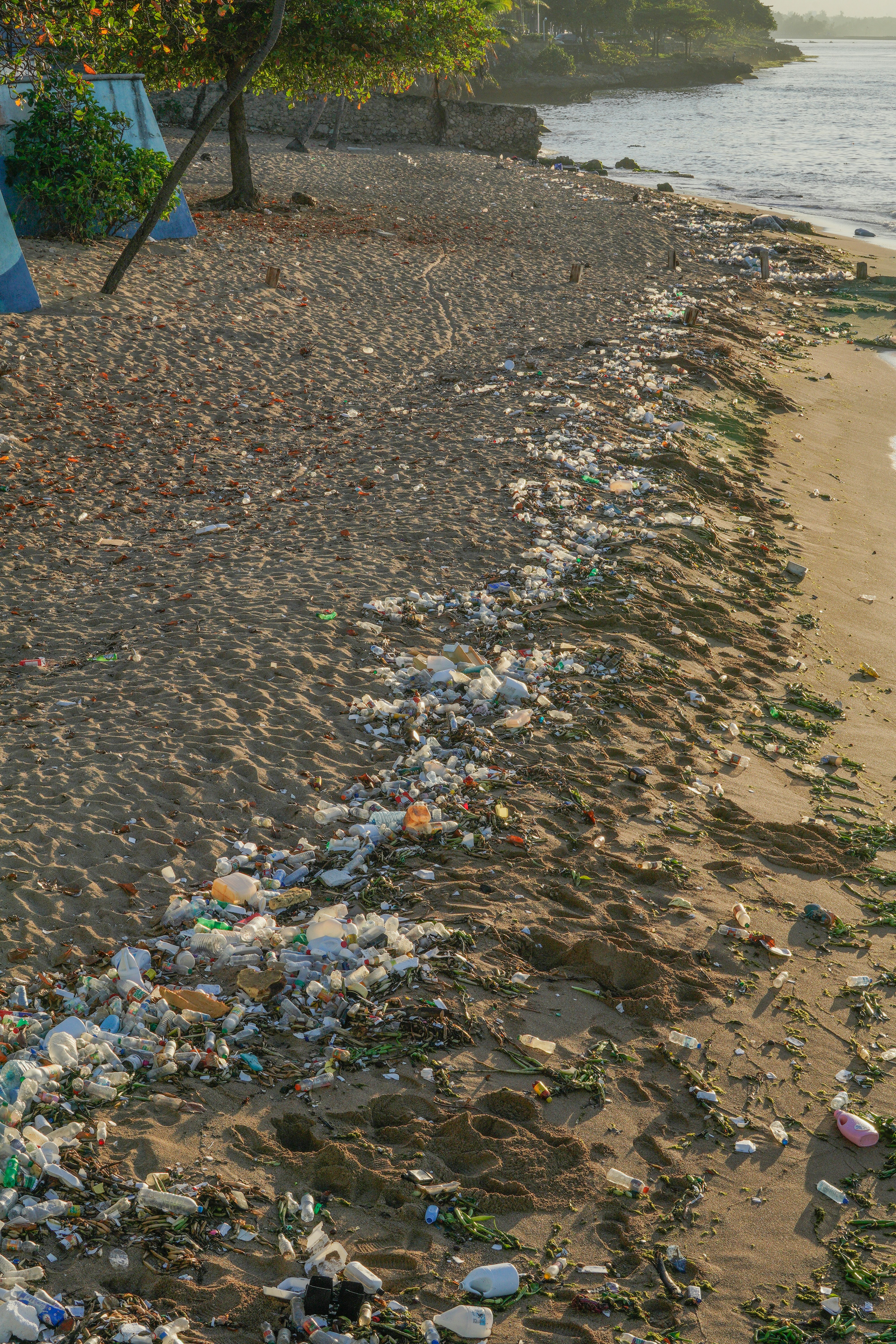 Photo by aldwardcv31