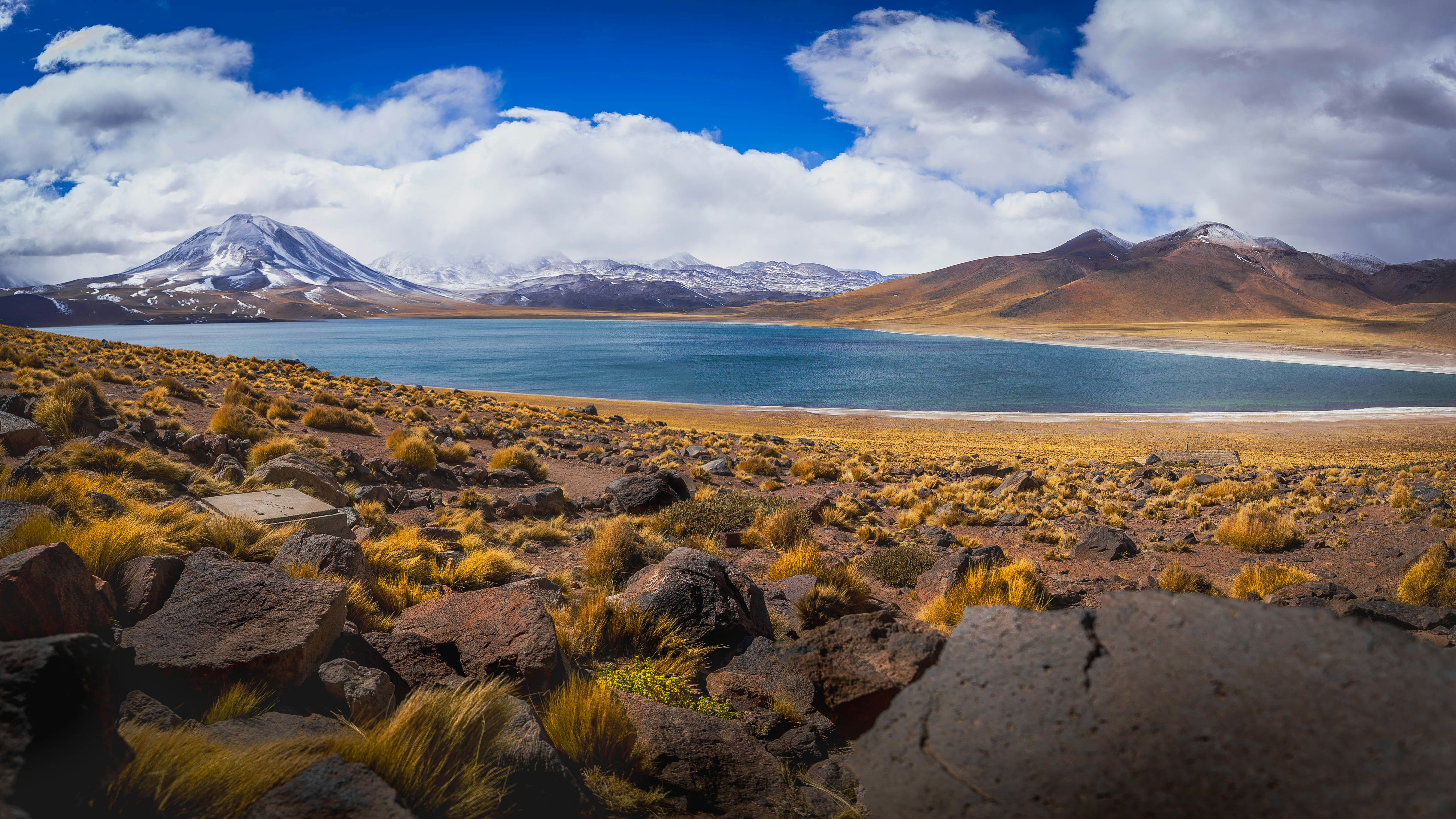 Photo by andrei_foto