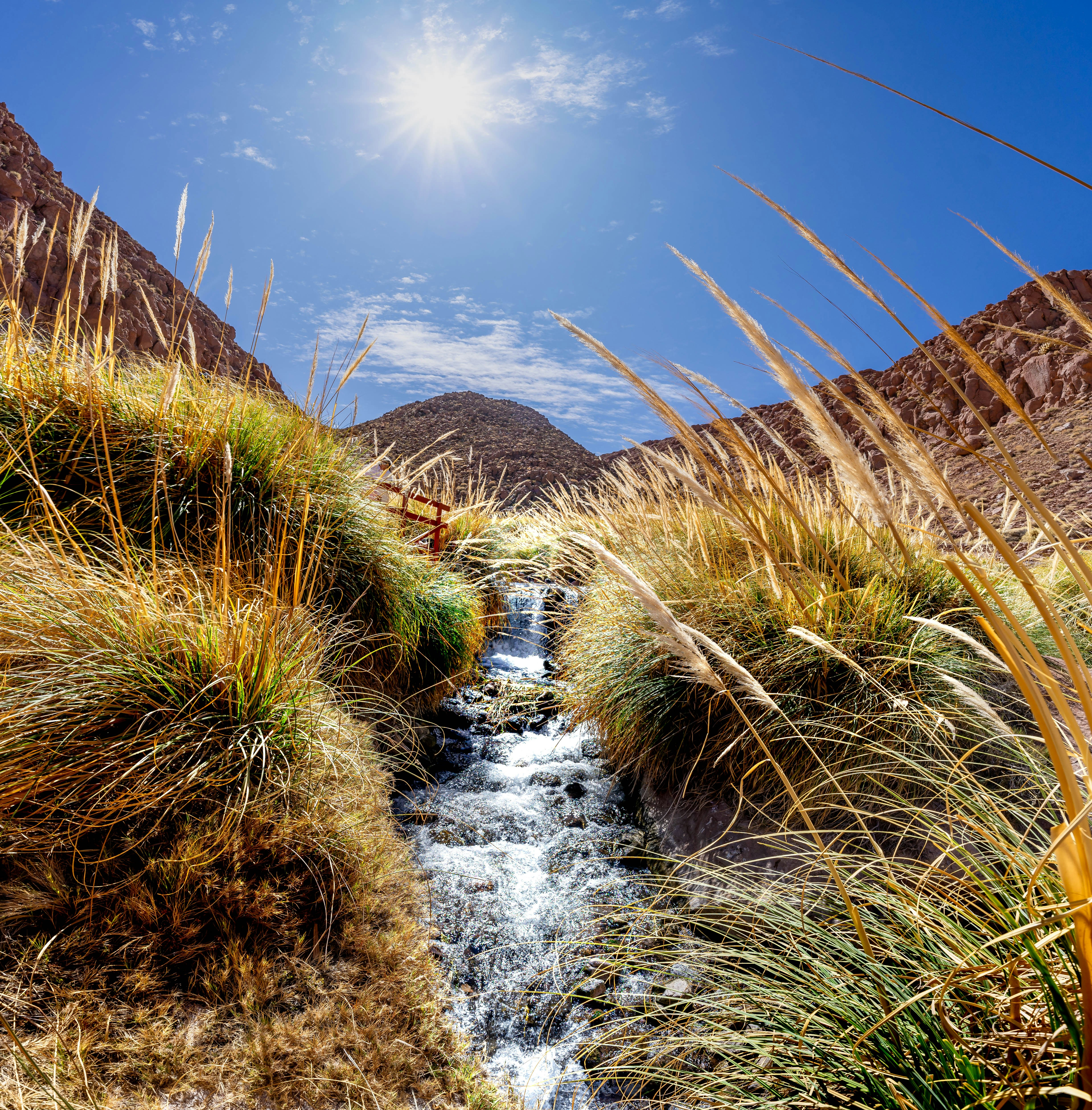 A stream of water running through a desert landscape
