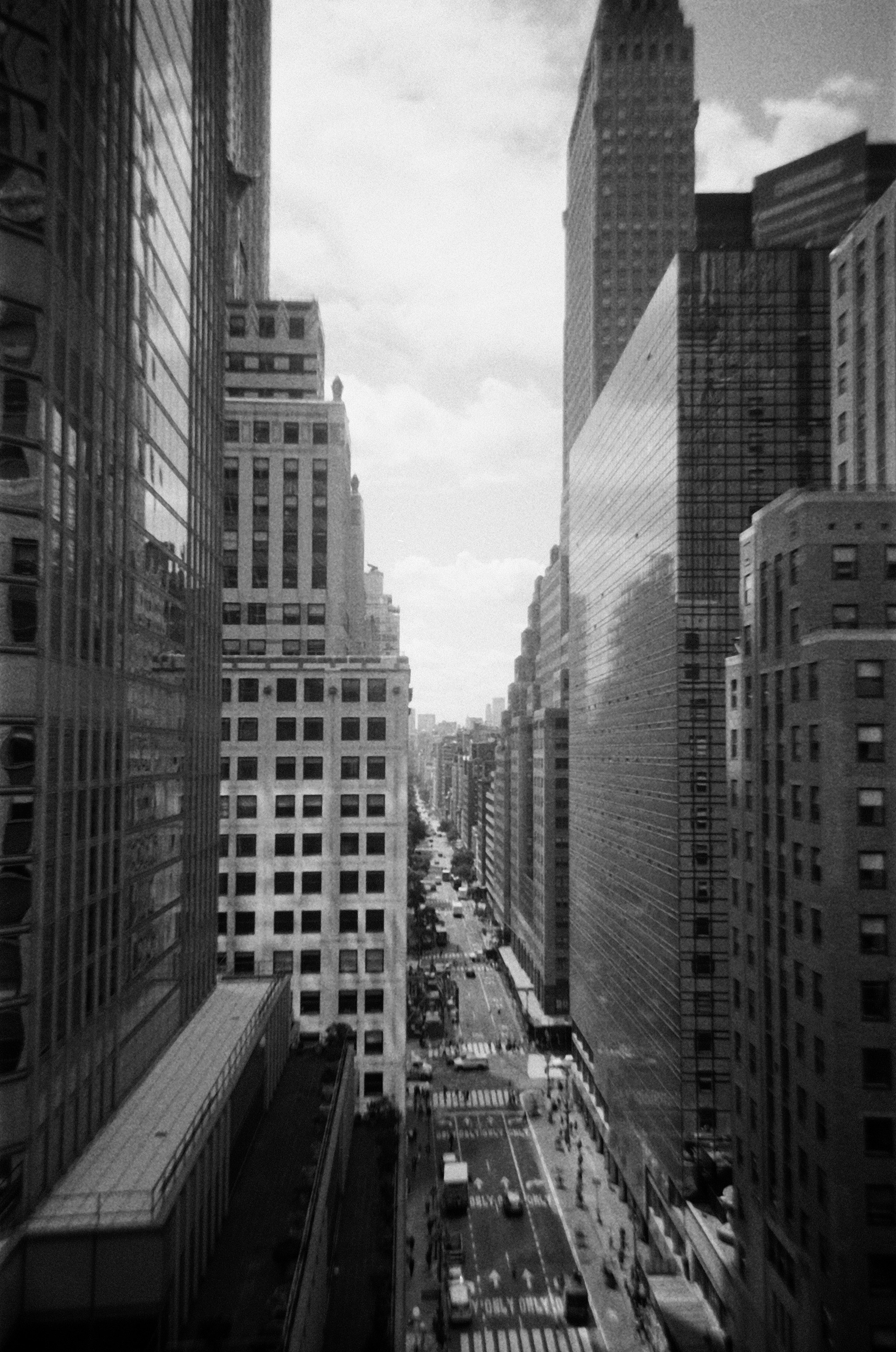 Photo by bradleyandroos