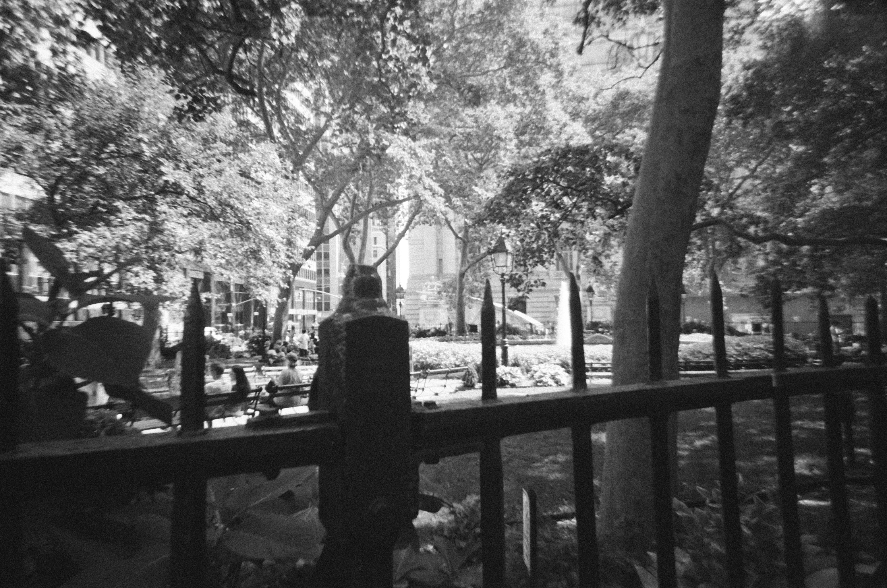 Photo by bradleyandroos