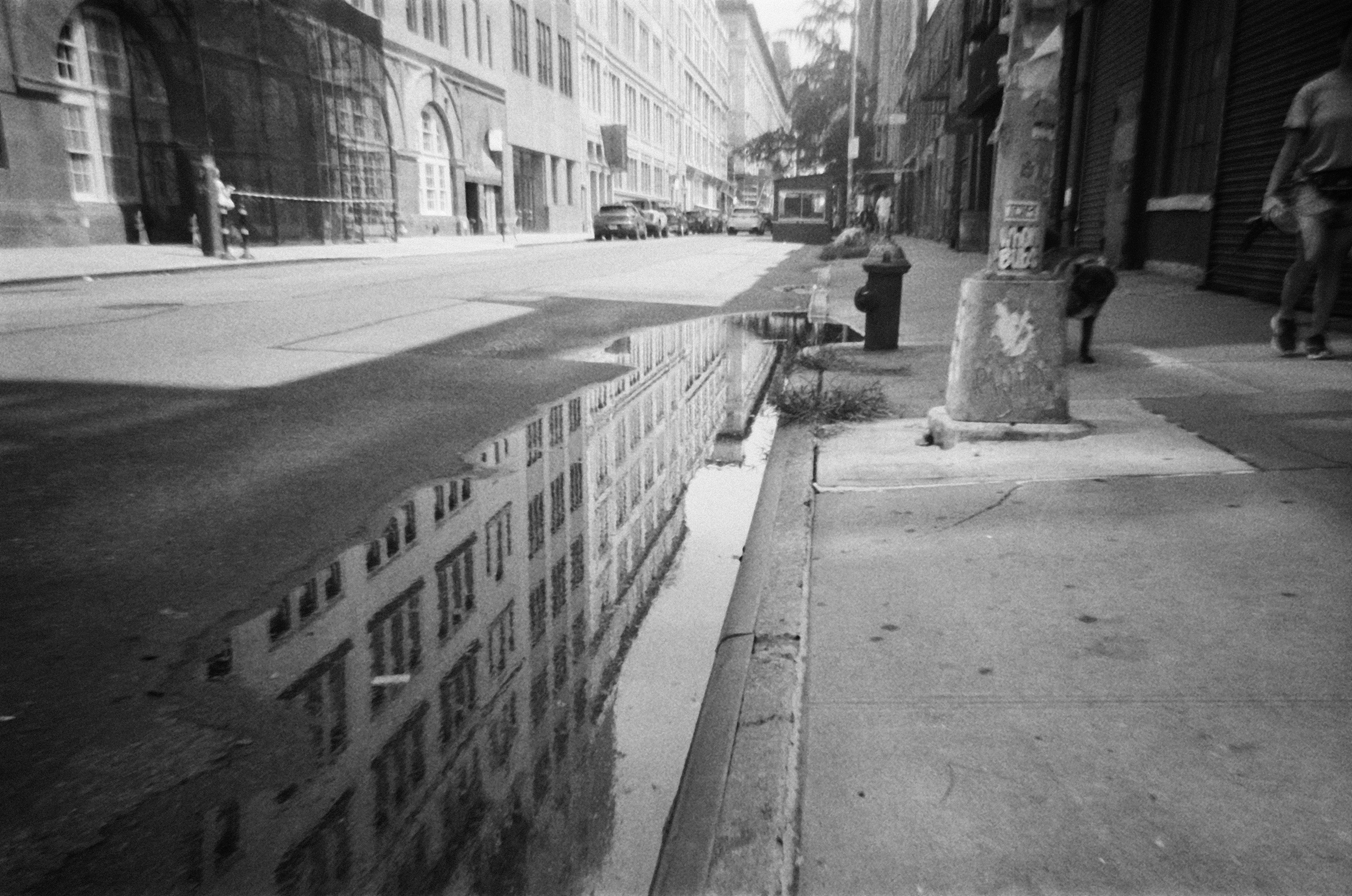 Photo by bradleyandroos