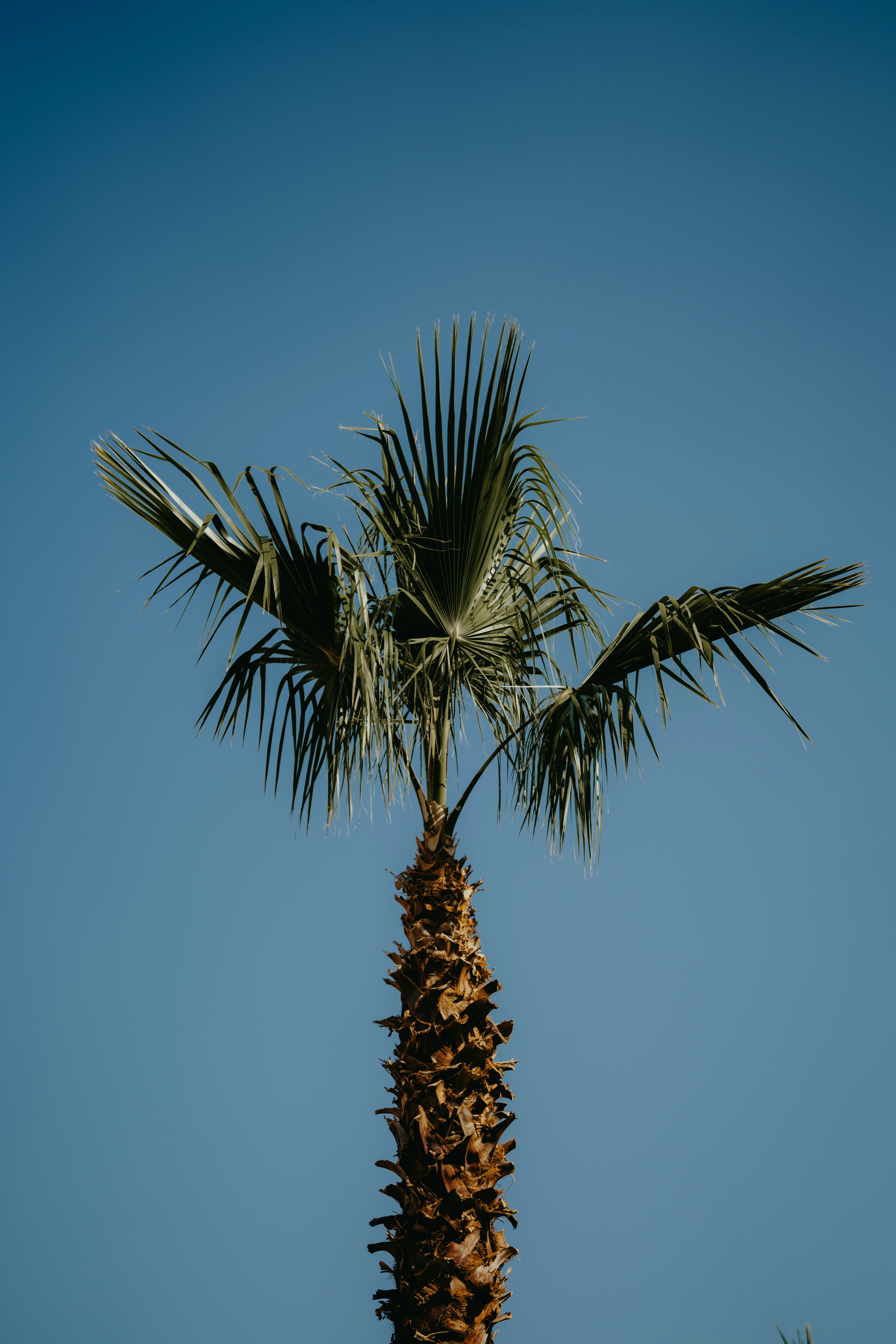 Photo by dimadallacqua