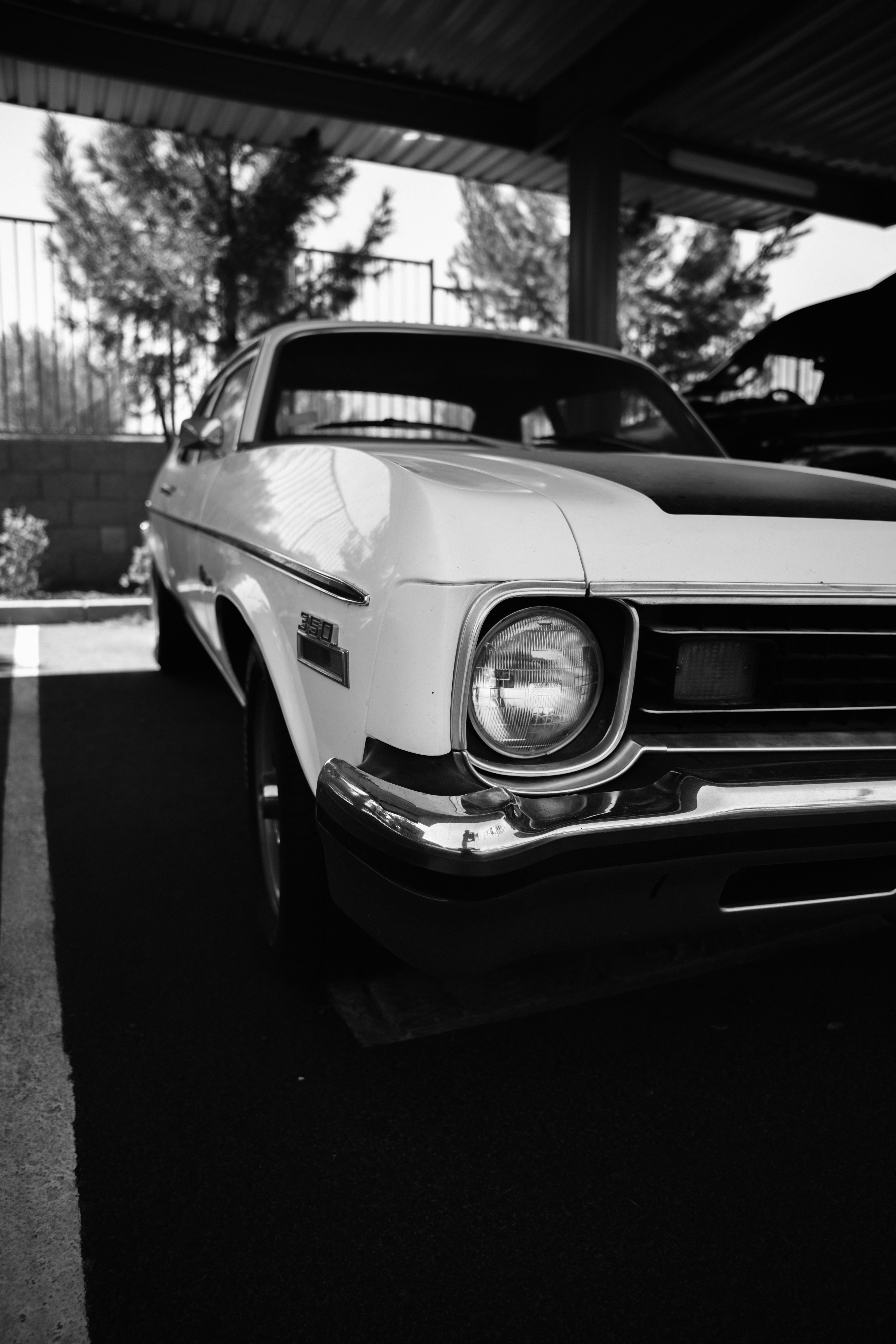 Photo by dimadallacqua